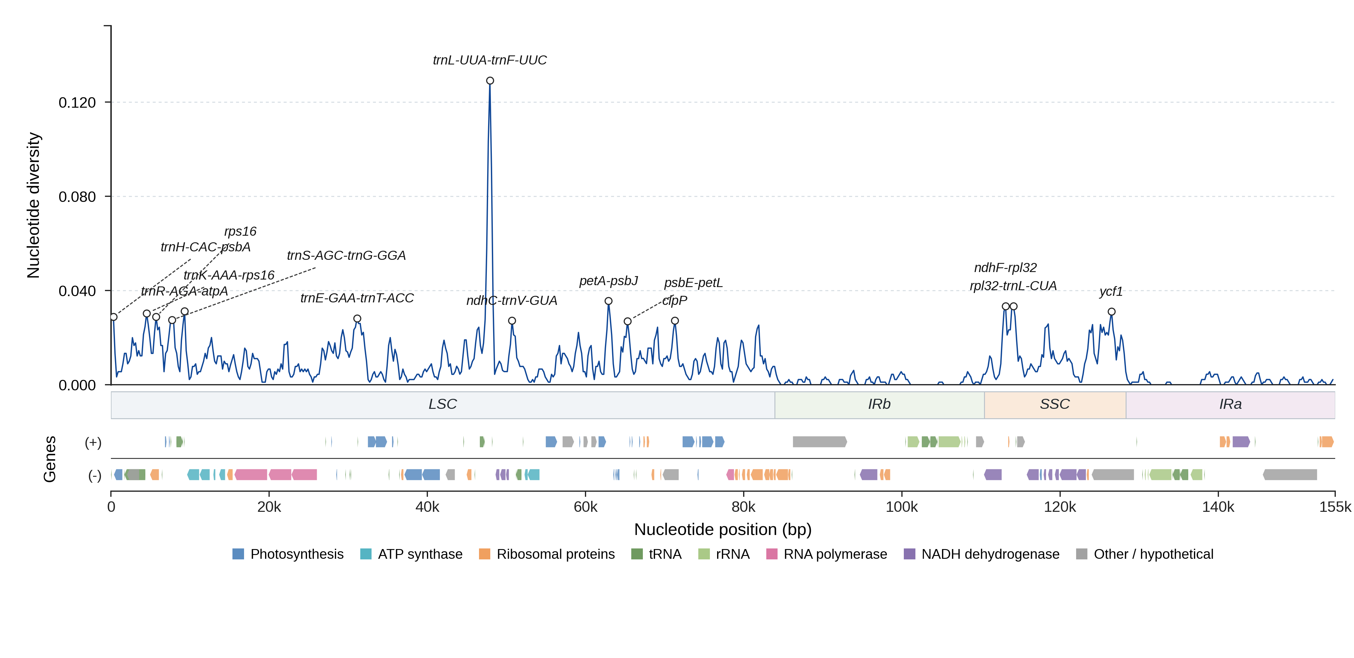Sliding-window nucleotide diversity