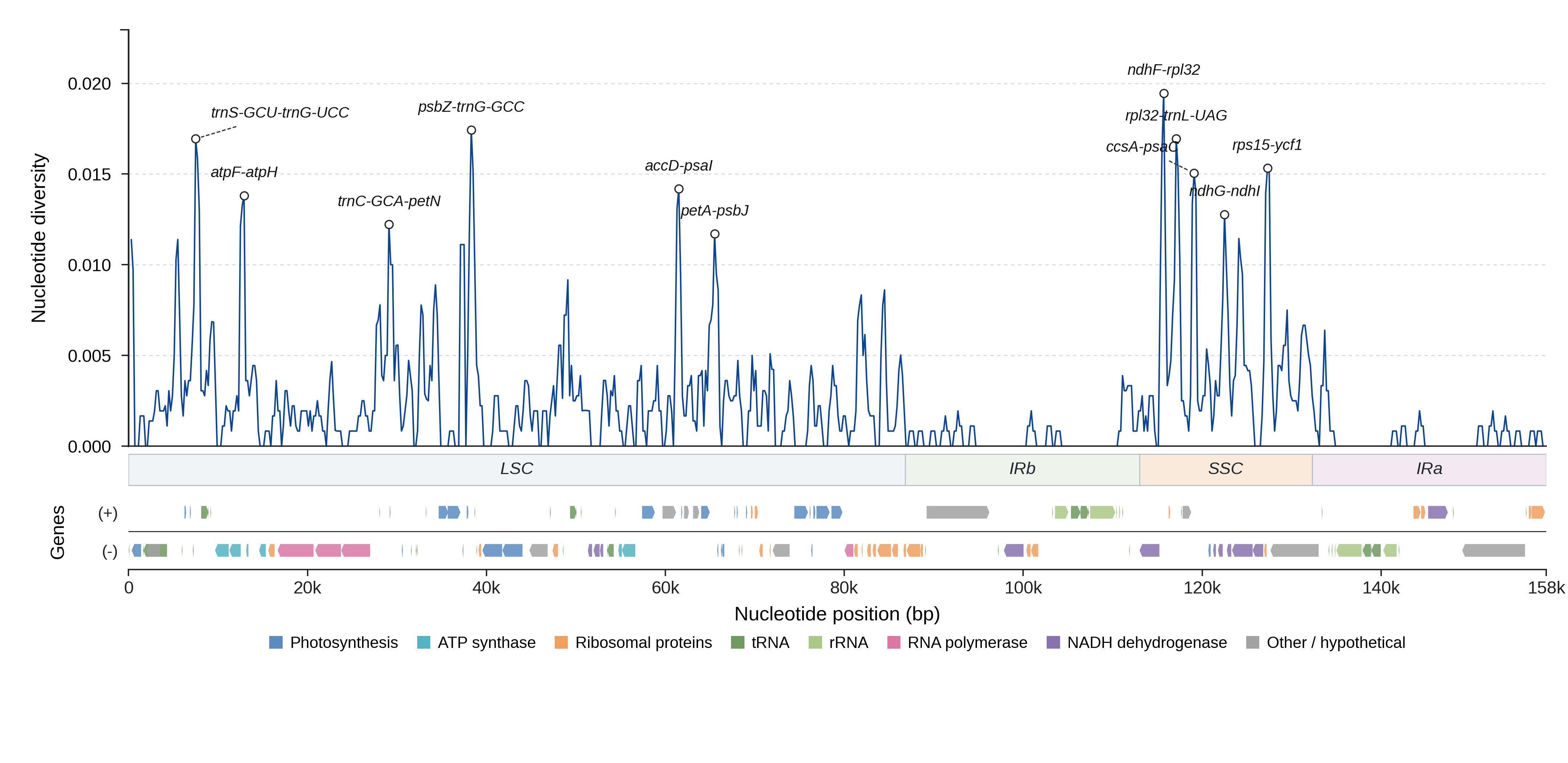 Sliding-window nucleotide diversity