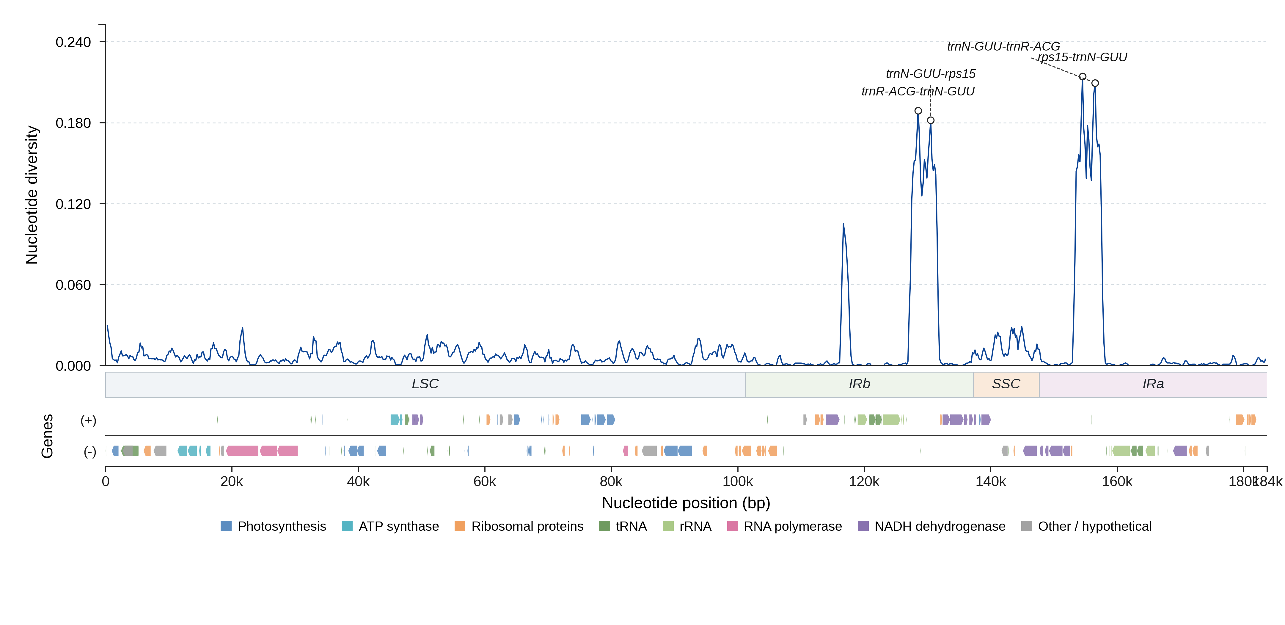Sliding-window nucleotide diversity