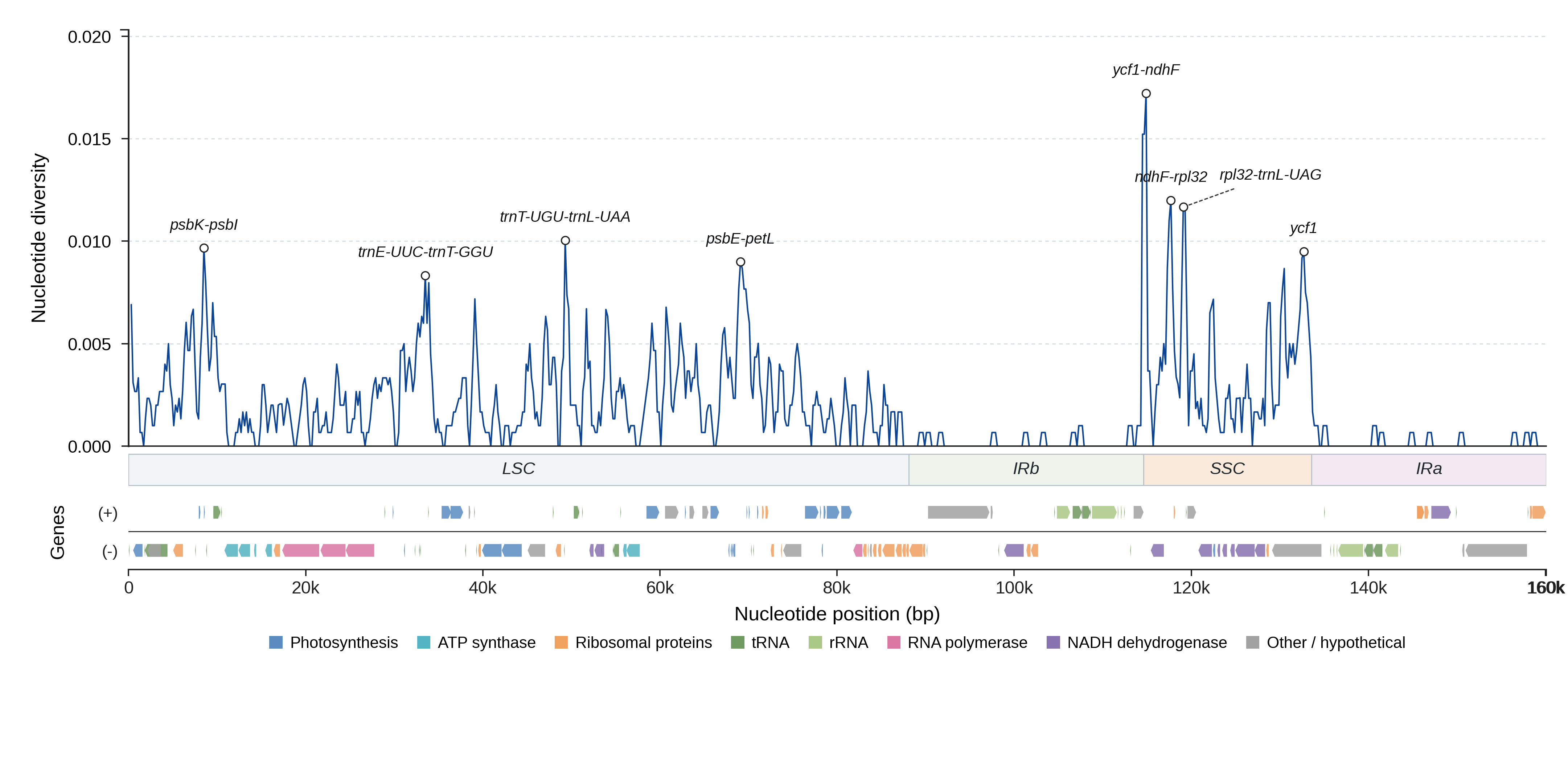 Sliding-window nucleotide diversity