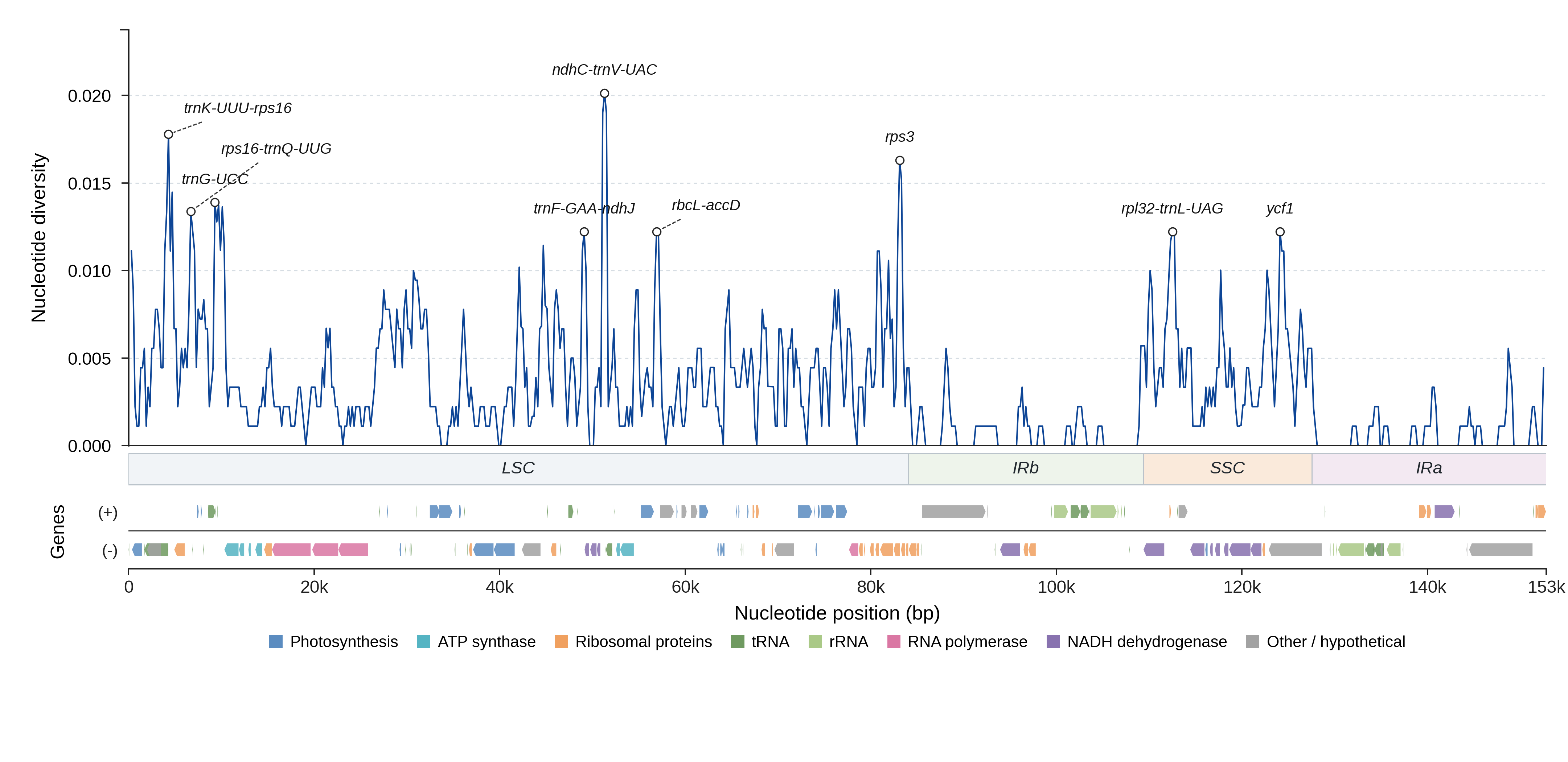 Sliding-window nucleotide diversity