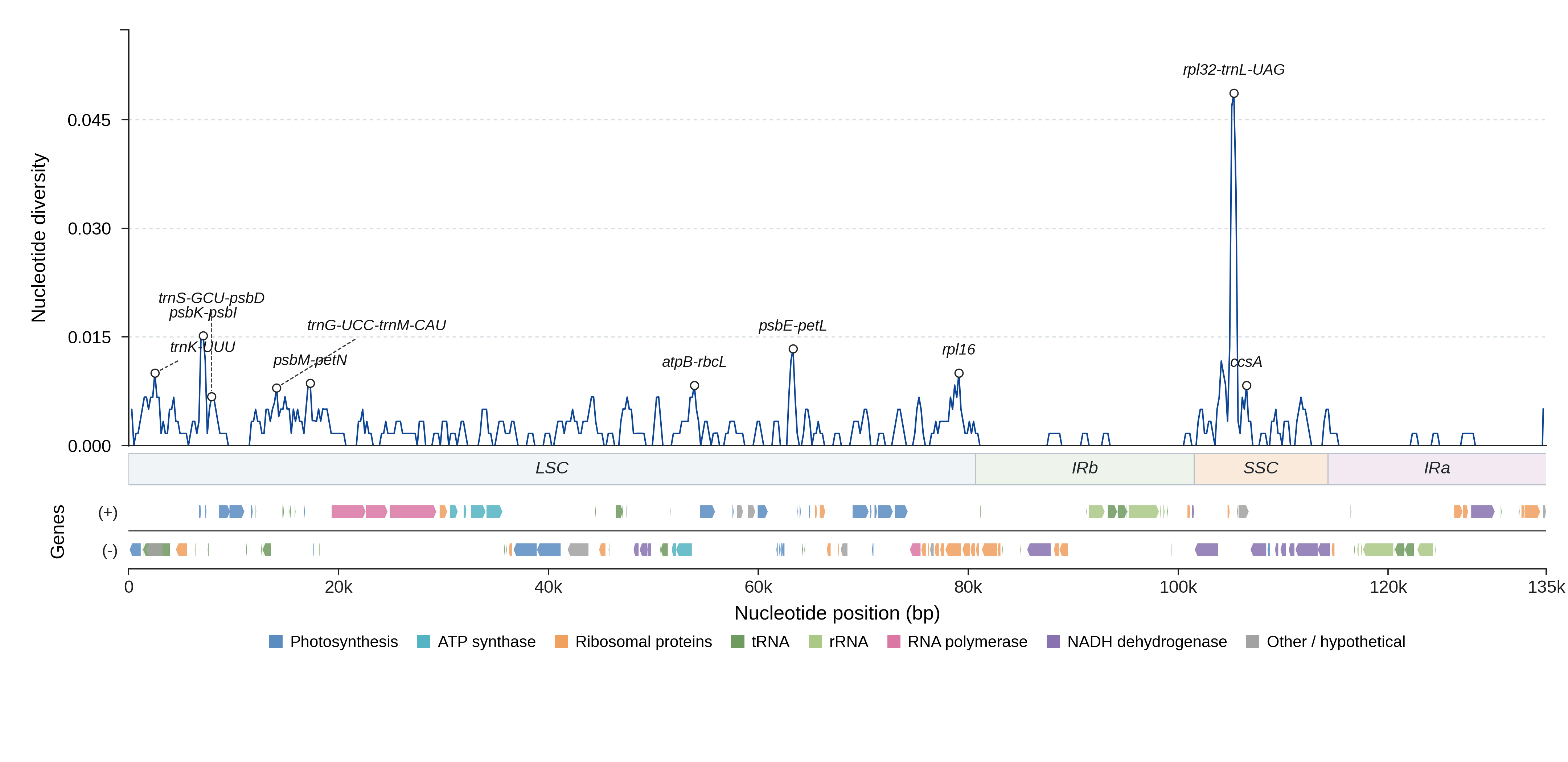 Sliding-window nucleotide diversity