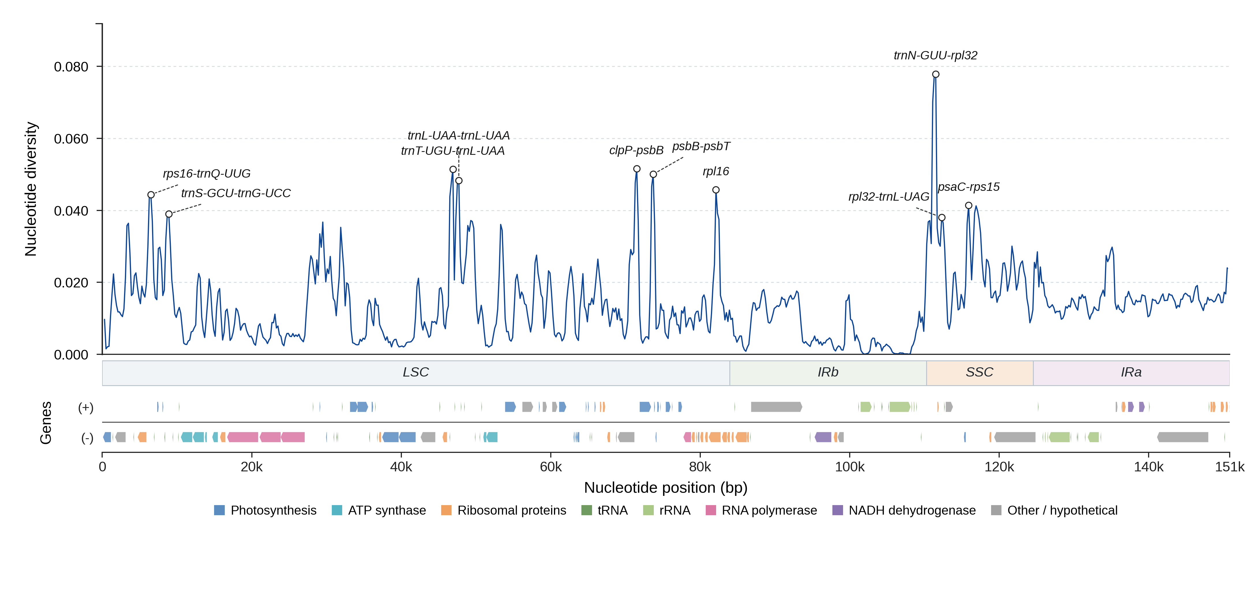 Sliding-window nucleotide diversity