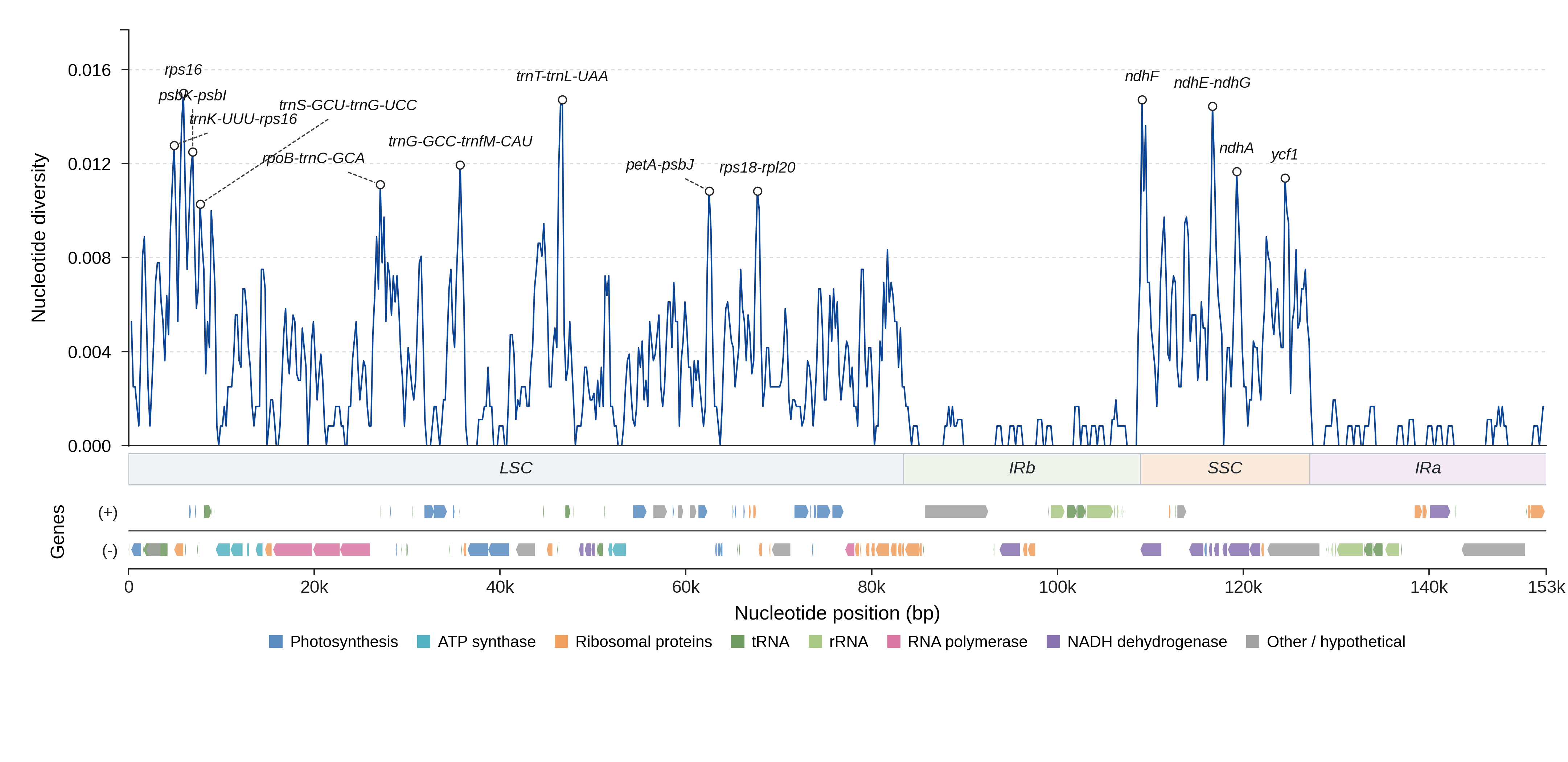Sliding-window nucleotide diversity