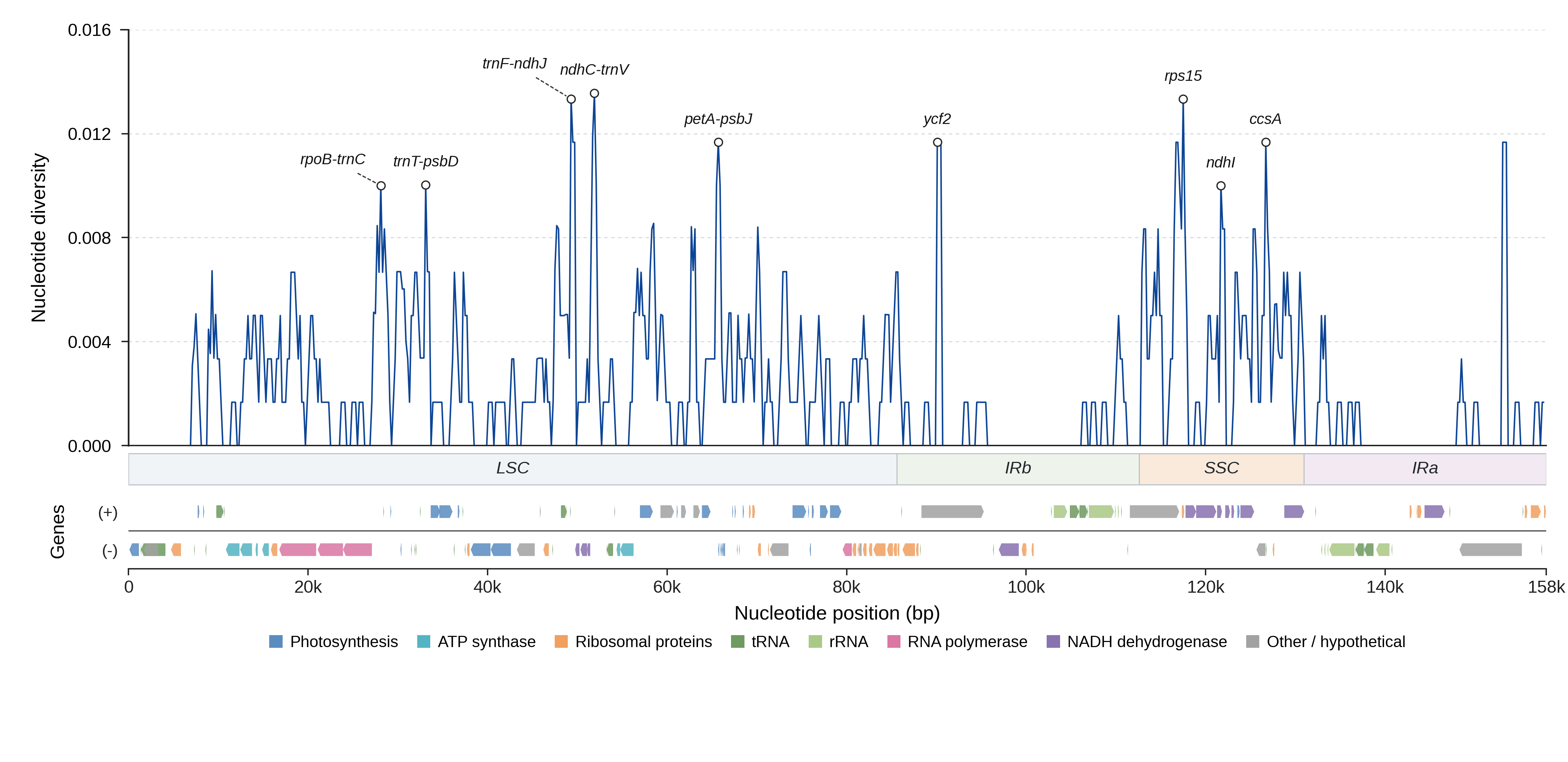 Sliding-window nucleotide diversity