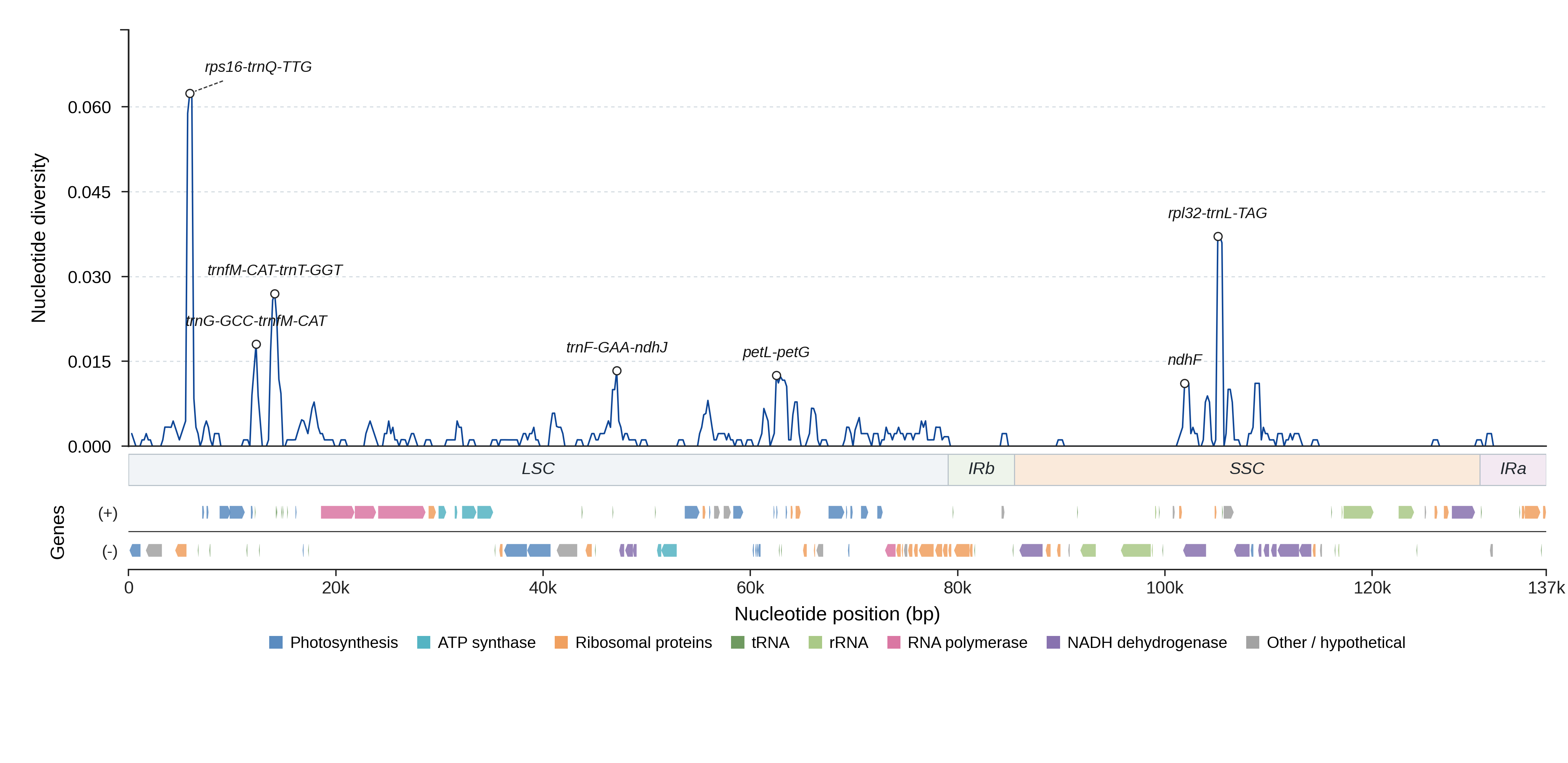 Sliding-window nucleotide diversity