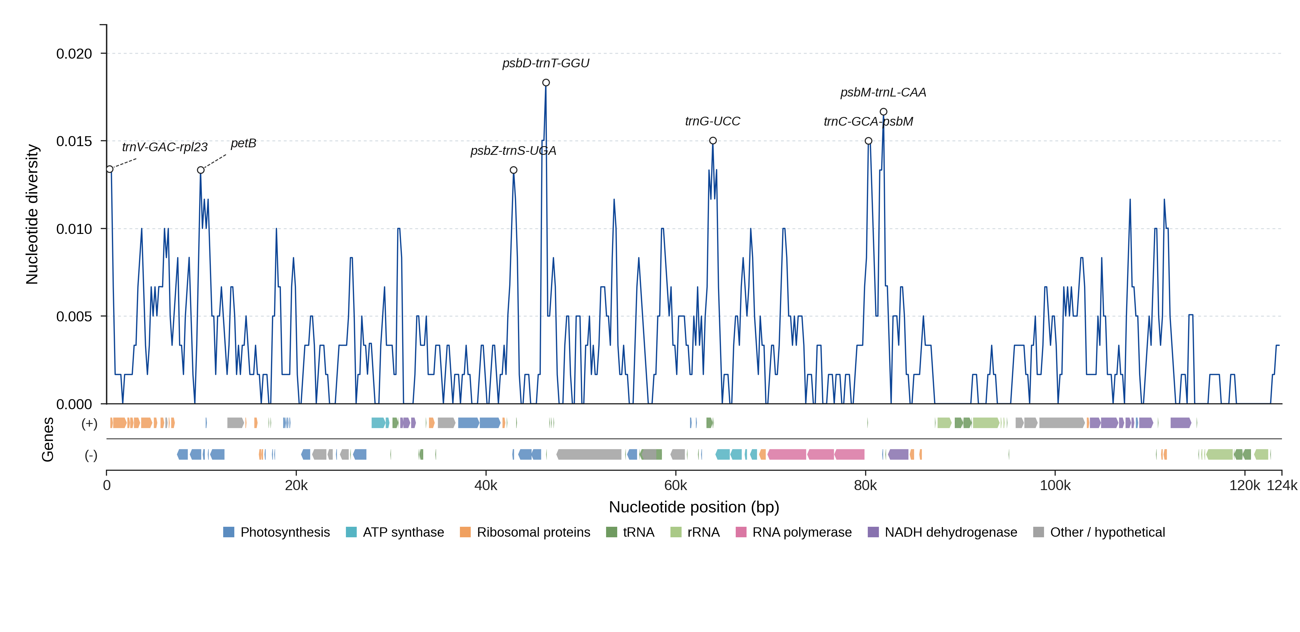 Sliding-window nucleotide diversity