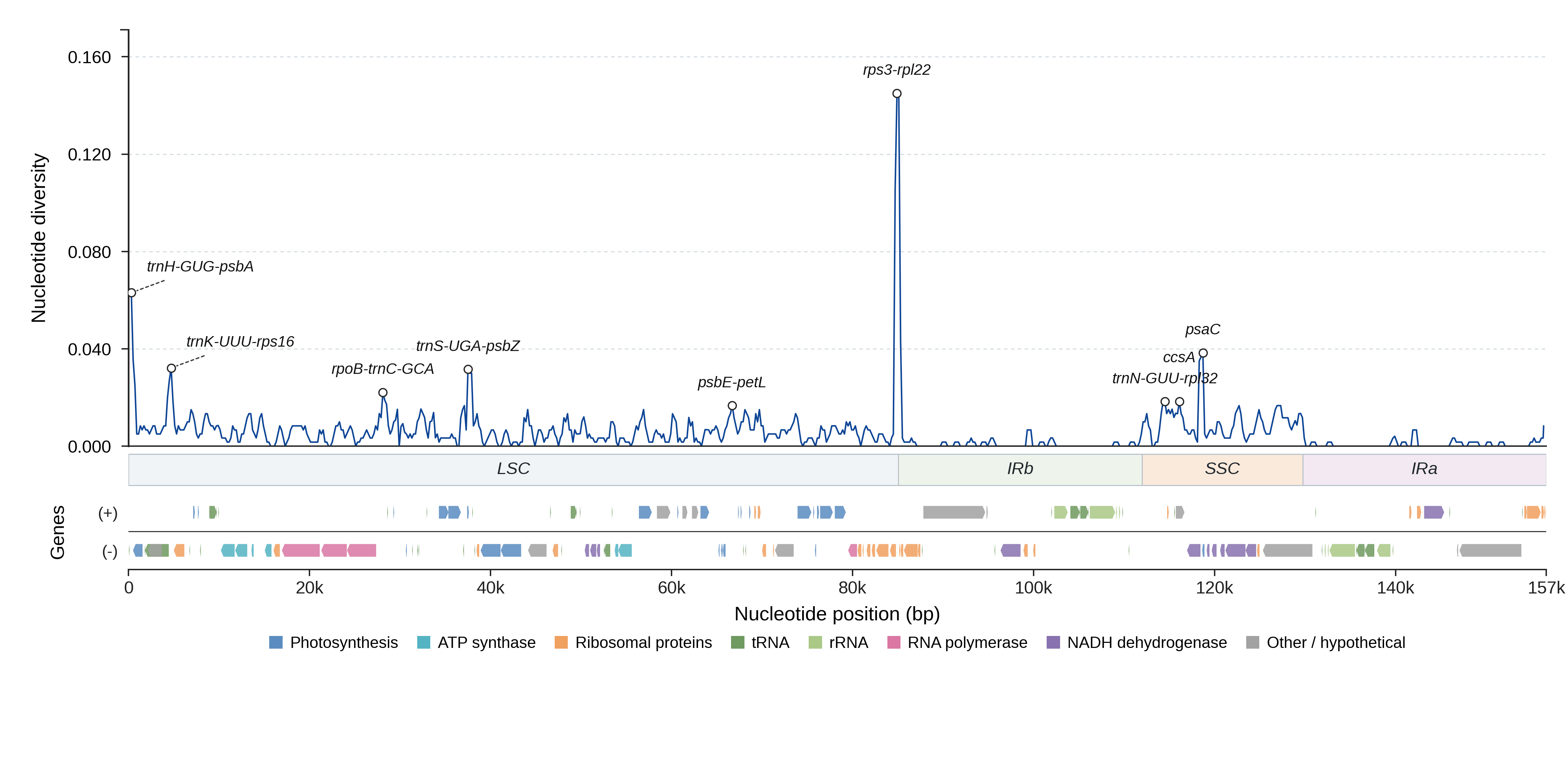 Sliding-window nucleotide diversity