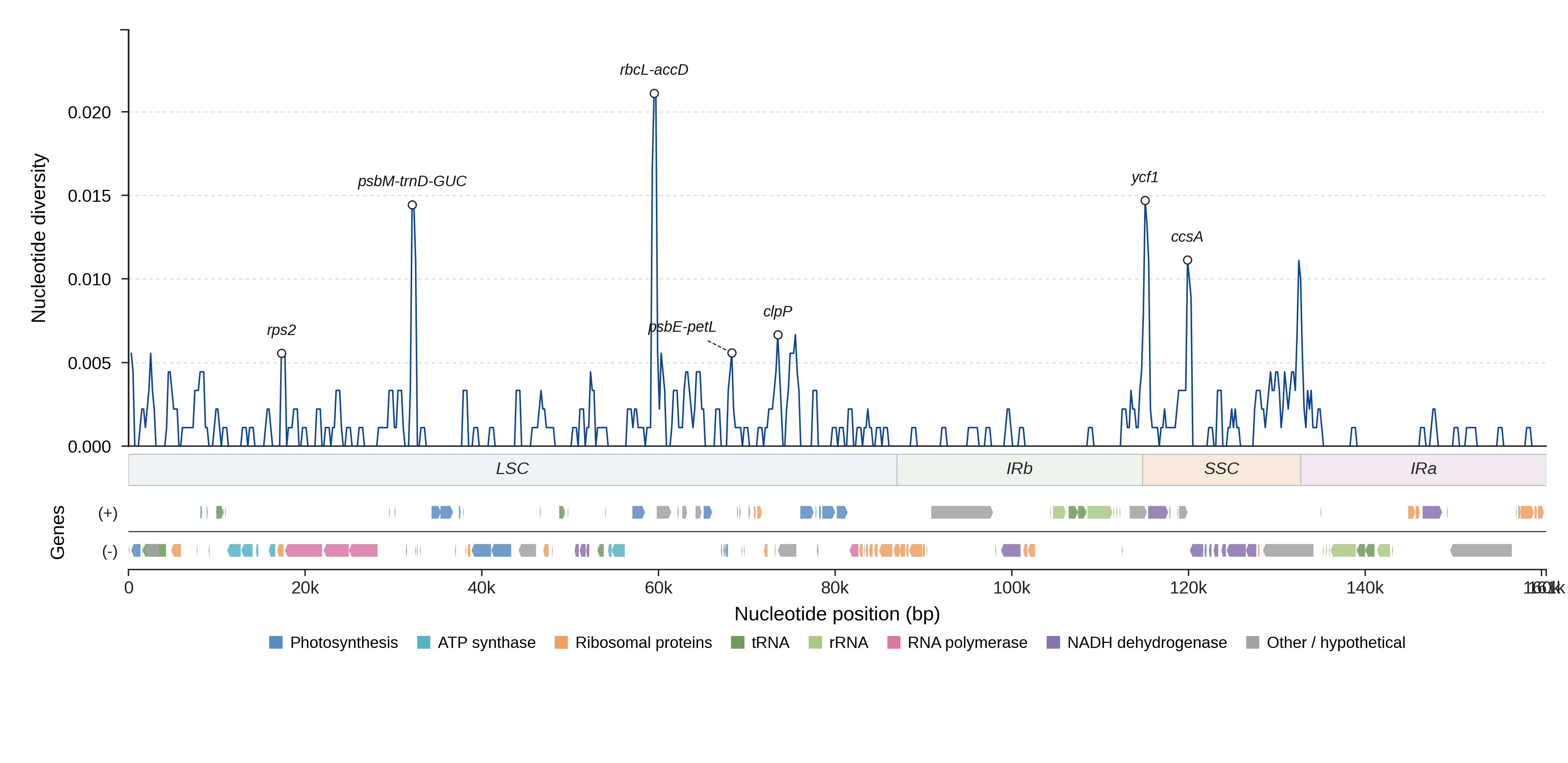 Sliding-window nucleotide diversity