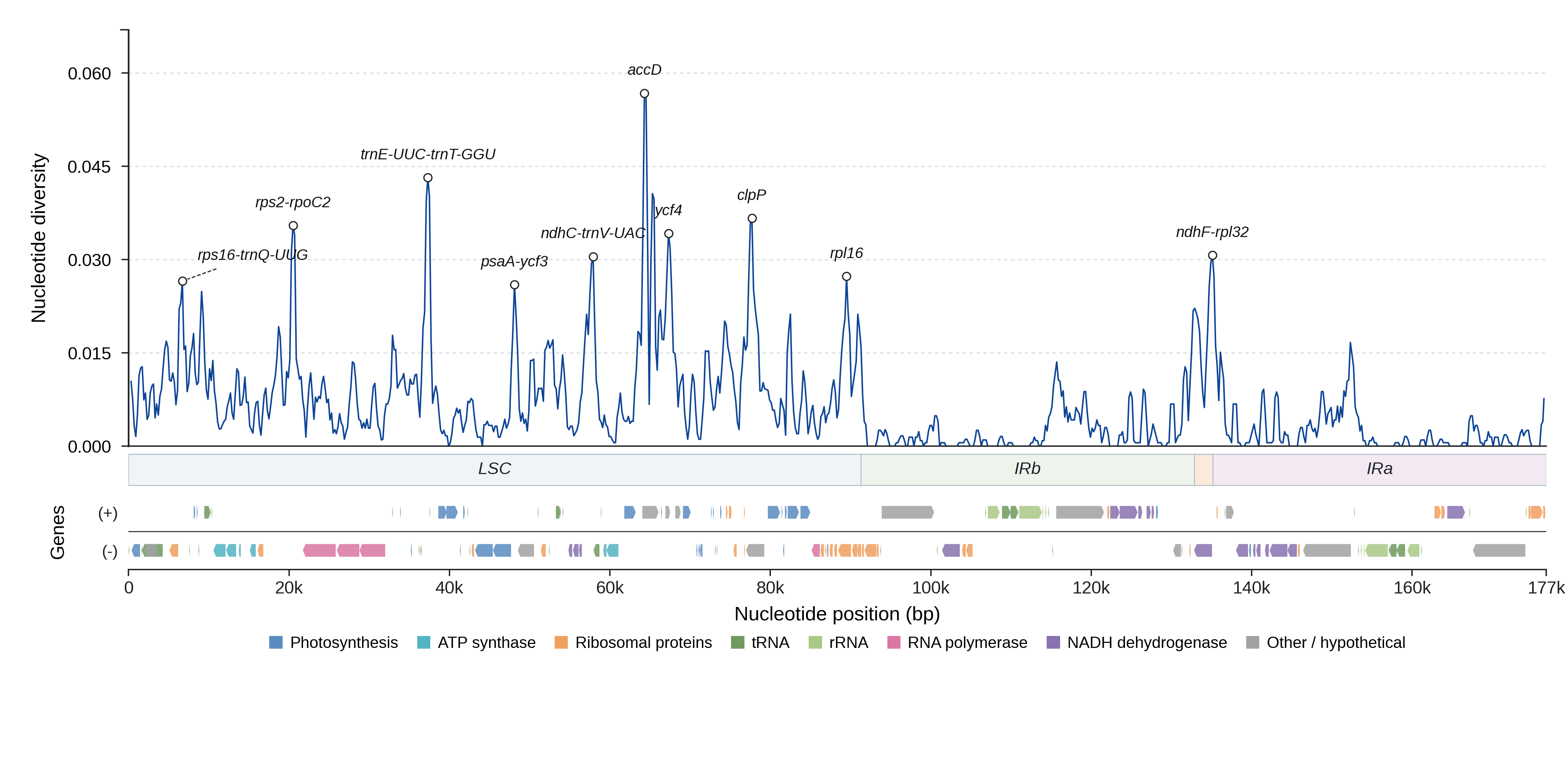 Sliding-window nucleotide diversity