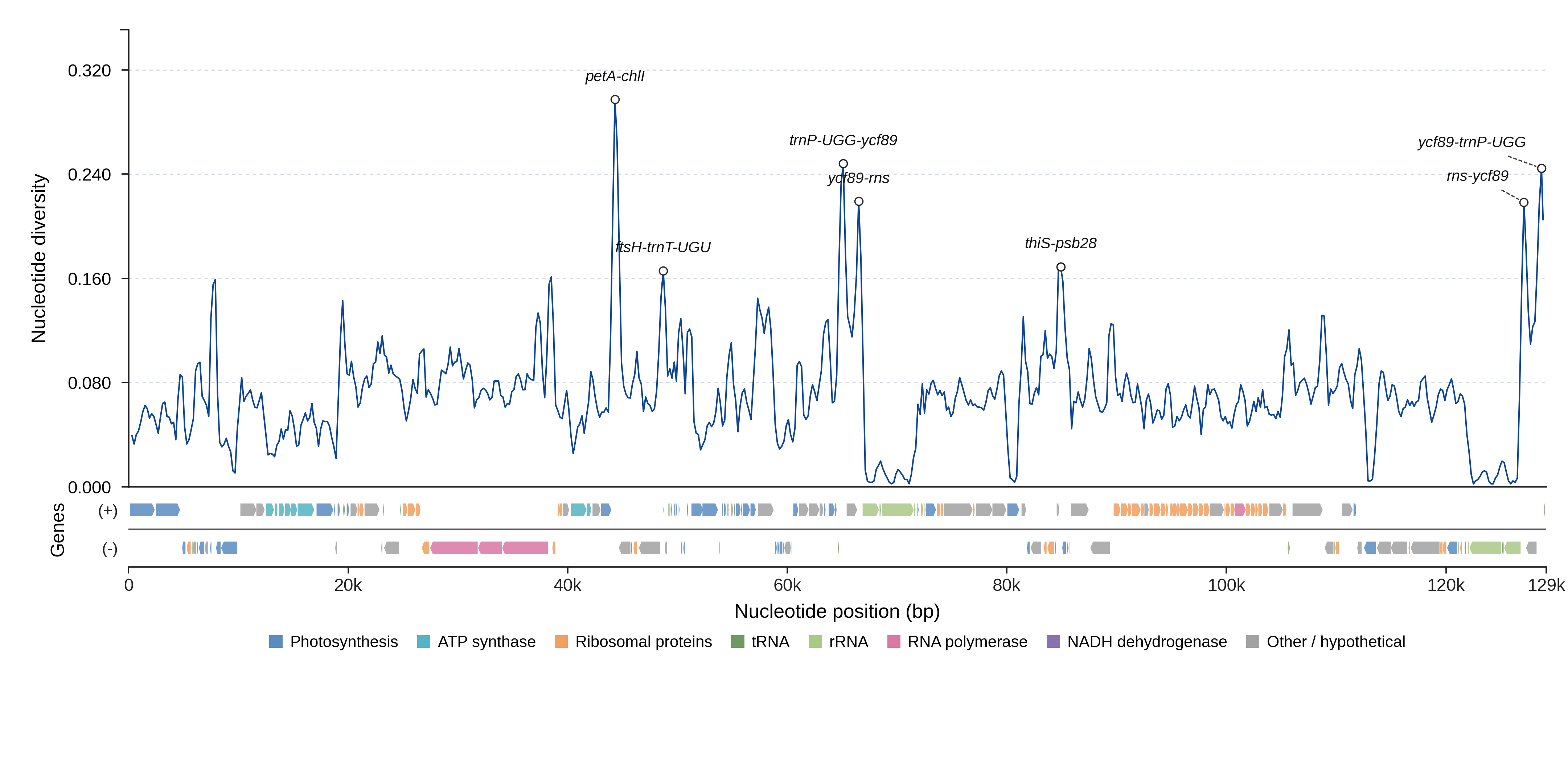 Sliding-window nucleotide diversity