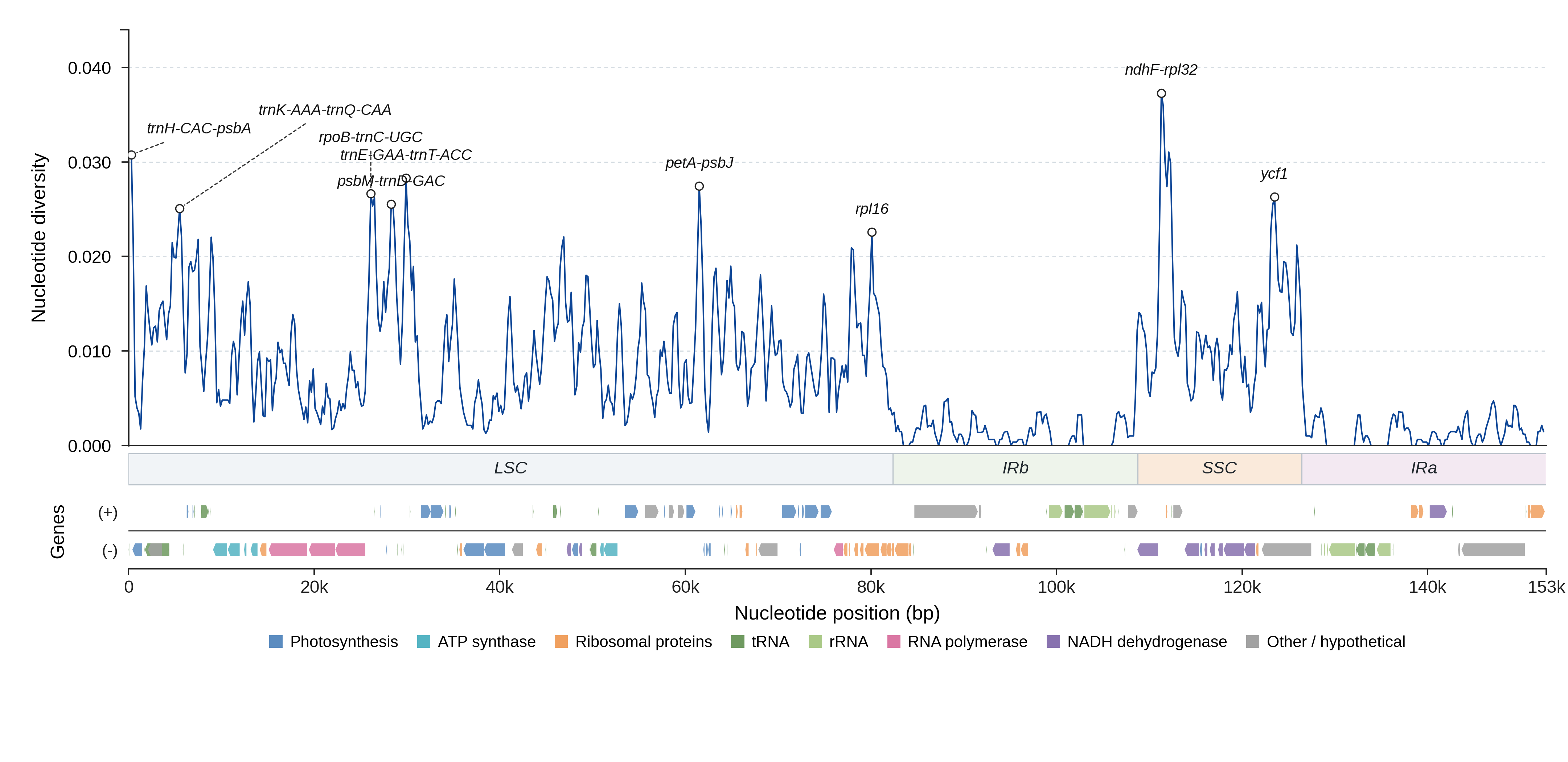 Sliding-window nucleotide diversity