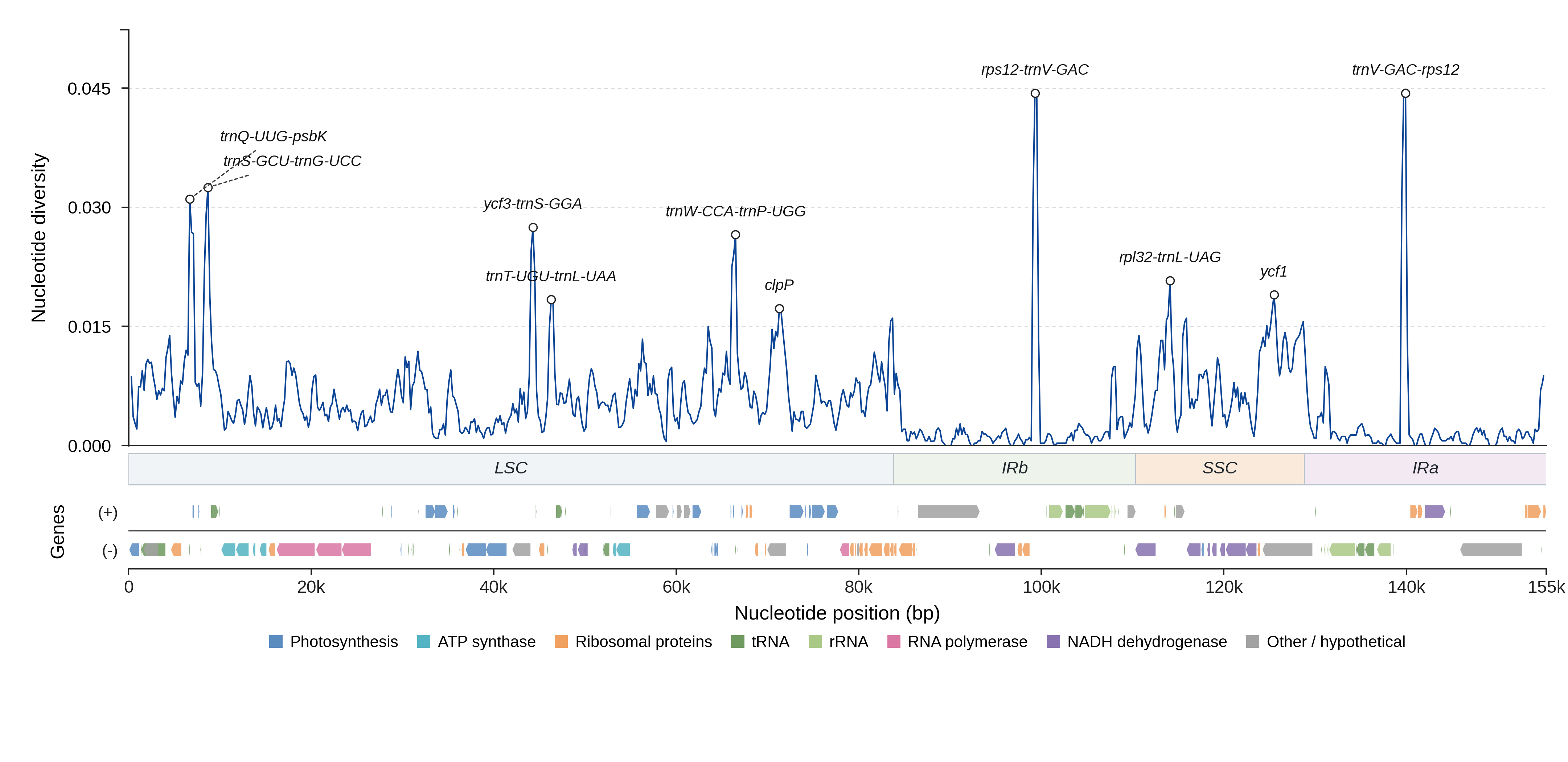 Sliding-window nucleotide diversity