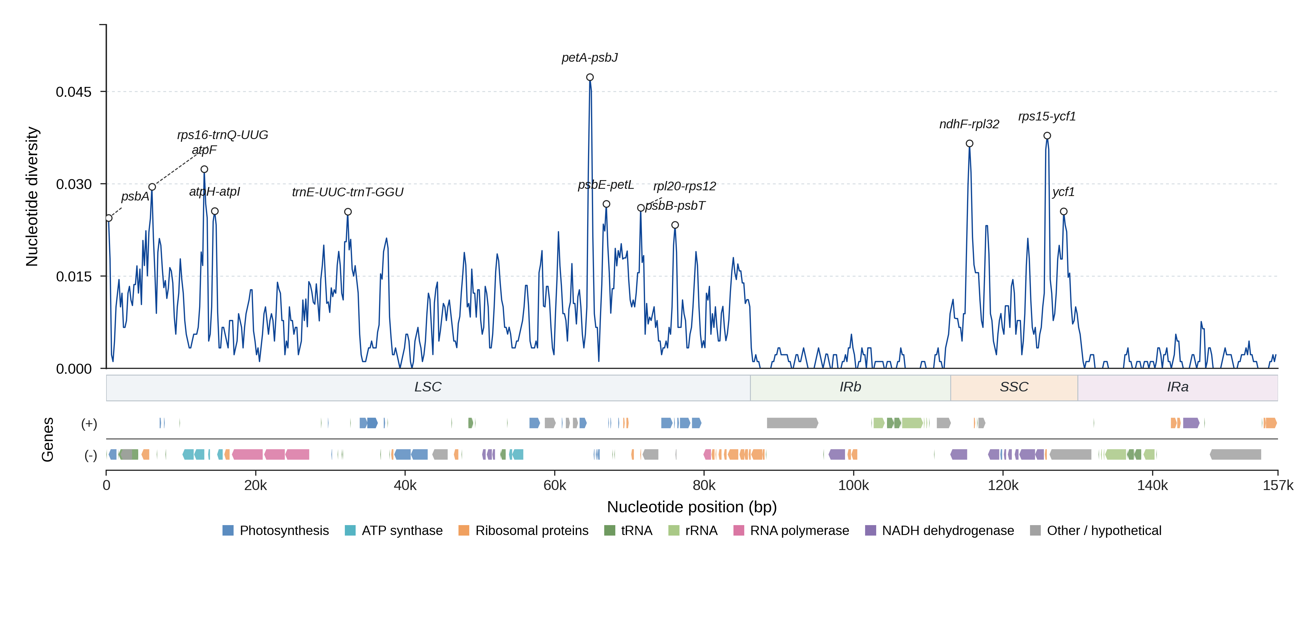 Sliding-window nucleotide diversity