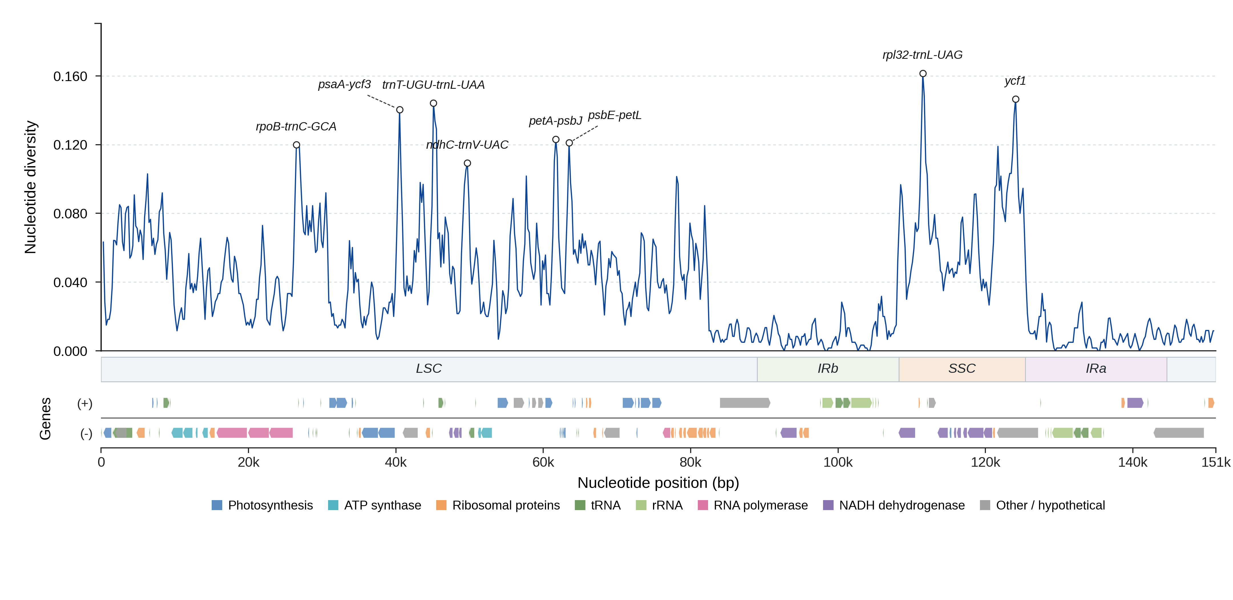 Sliding-window nucleotide diversity