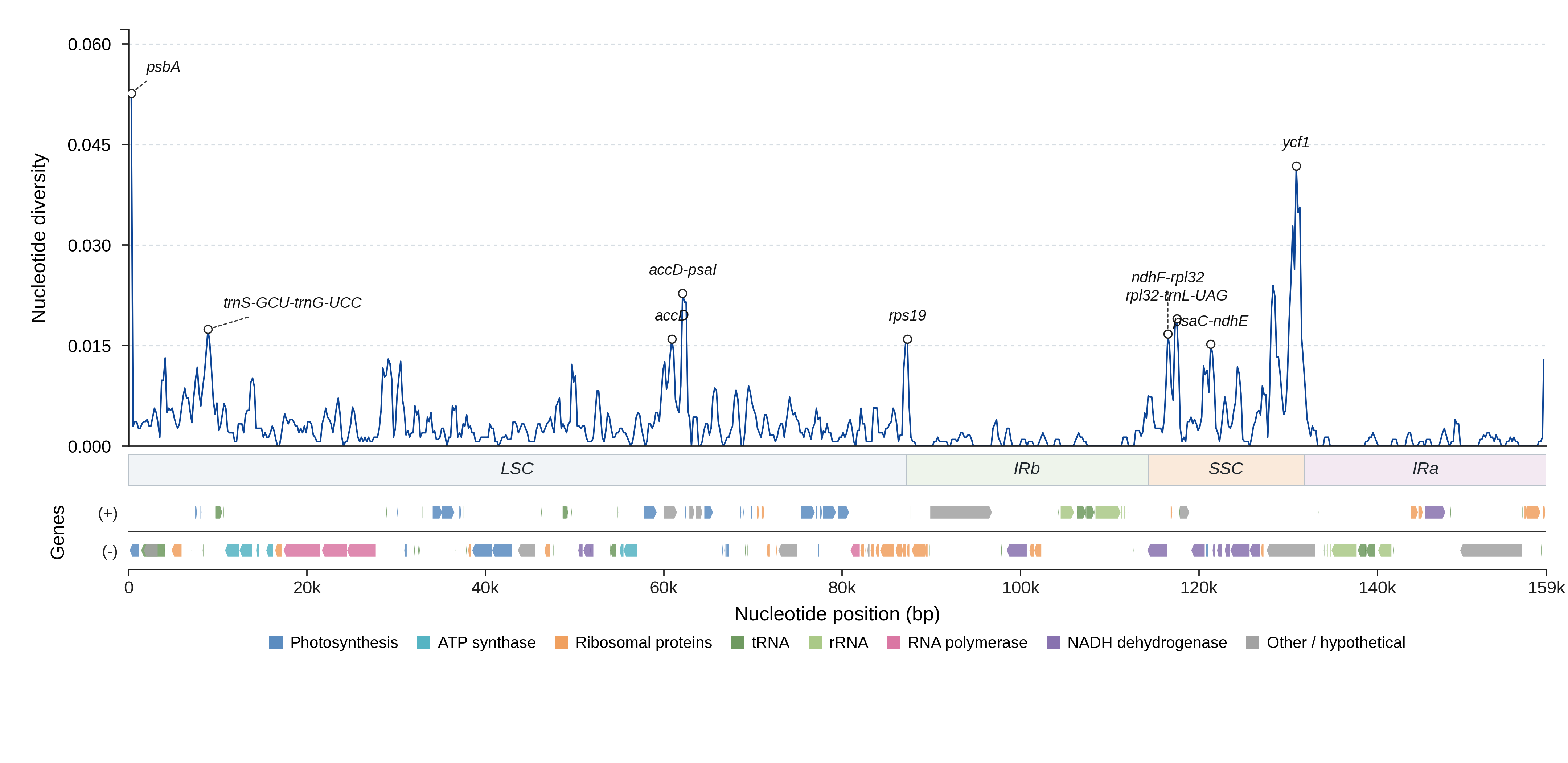 Sliding-window nucleotide diversity