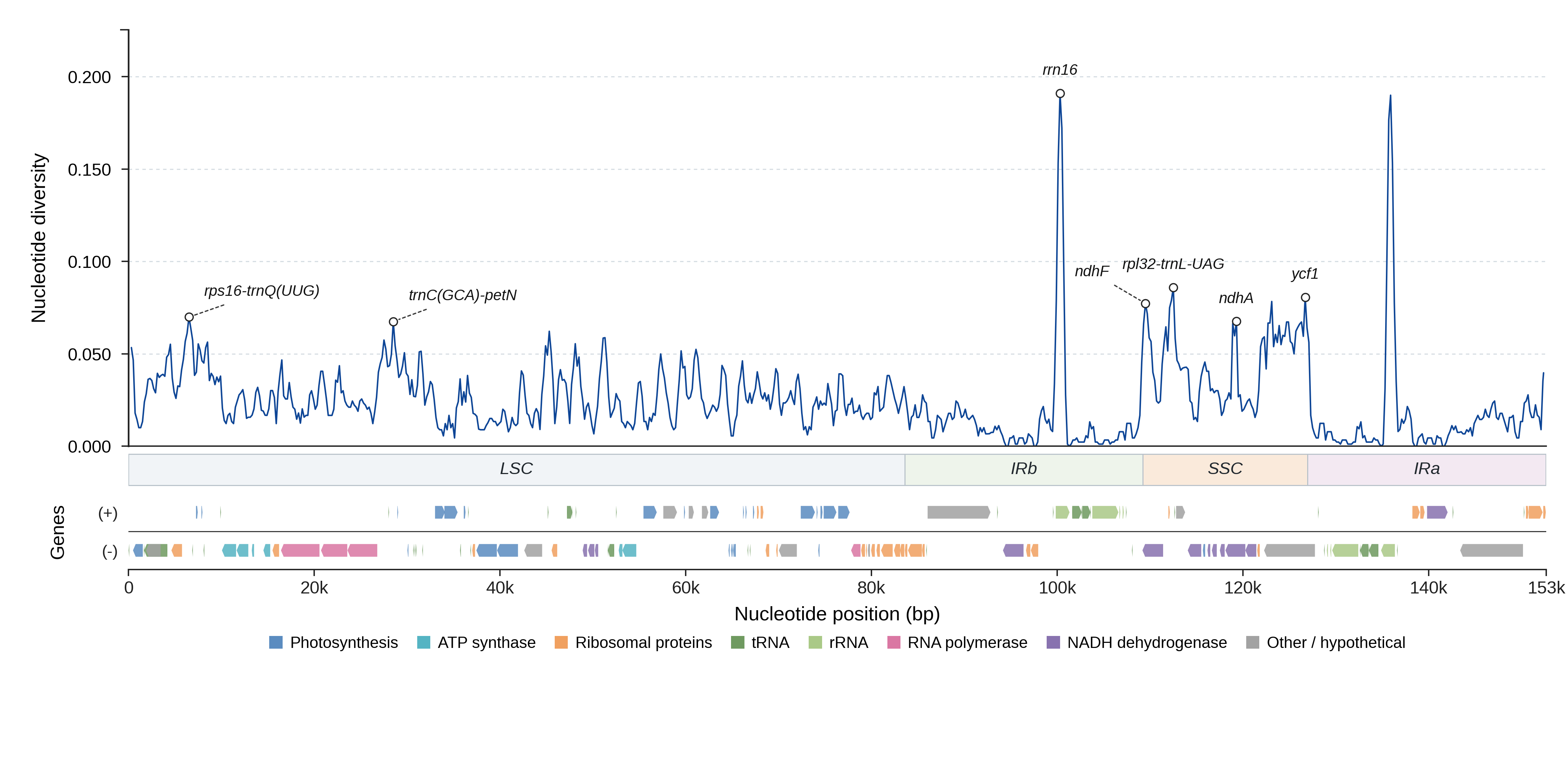 Sliding-window nucleotide diversity