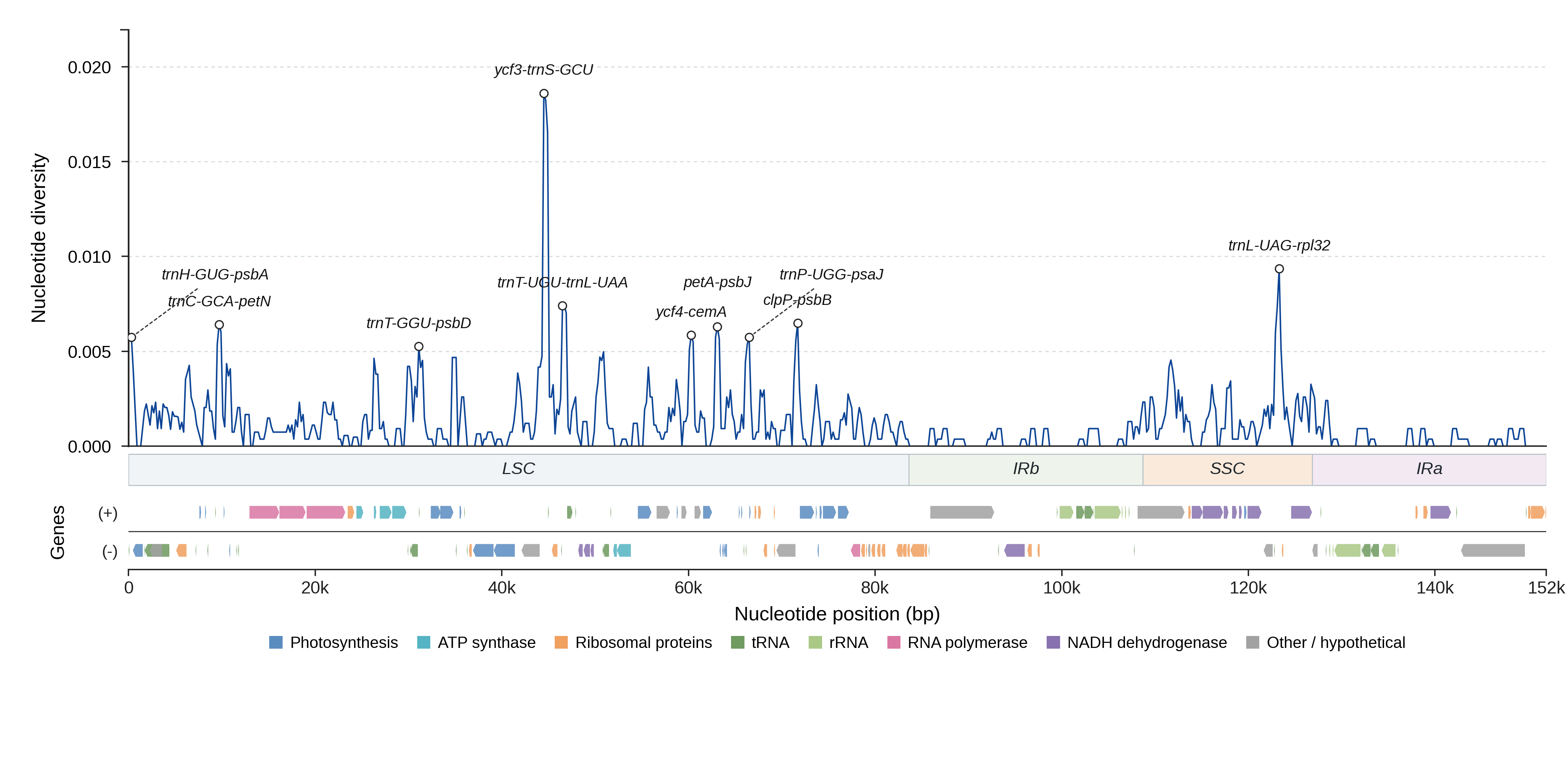 Sliding-window nucleotide diversity