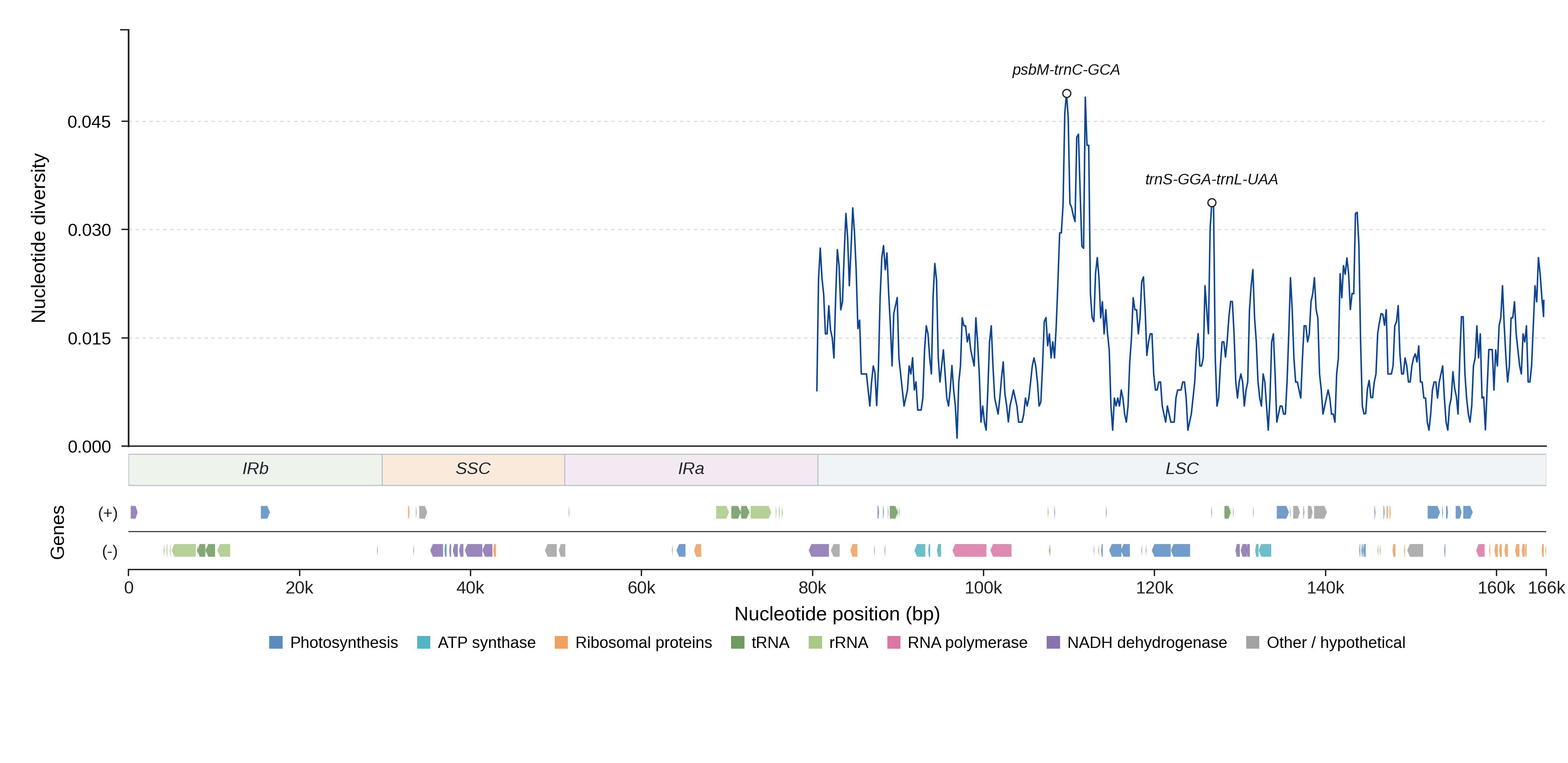 Sliding-window nucleotide diversity