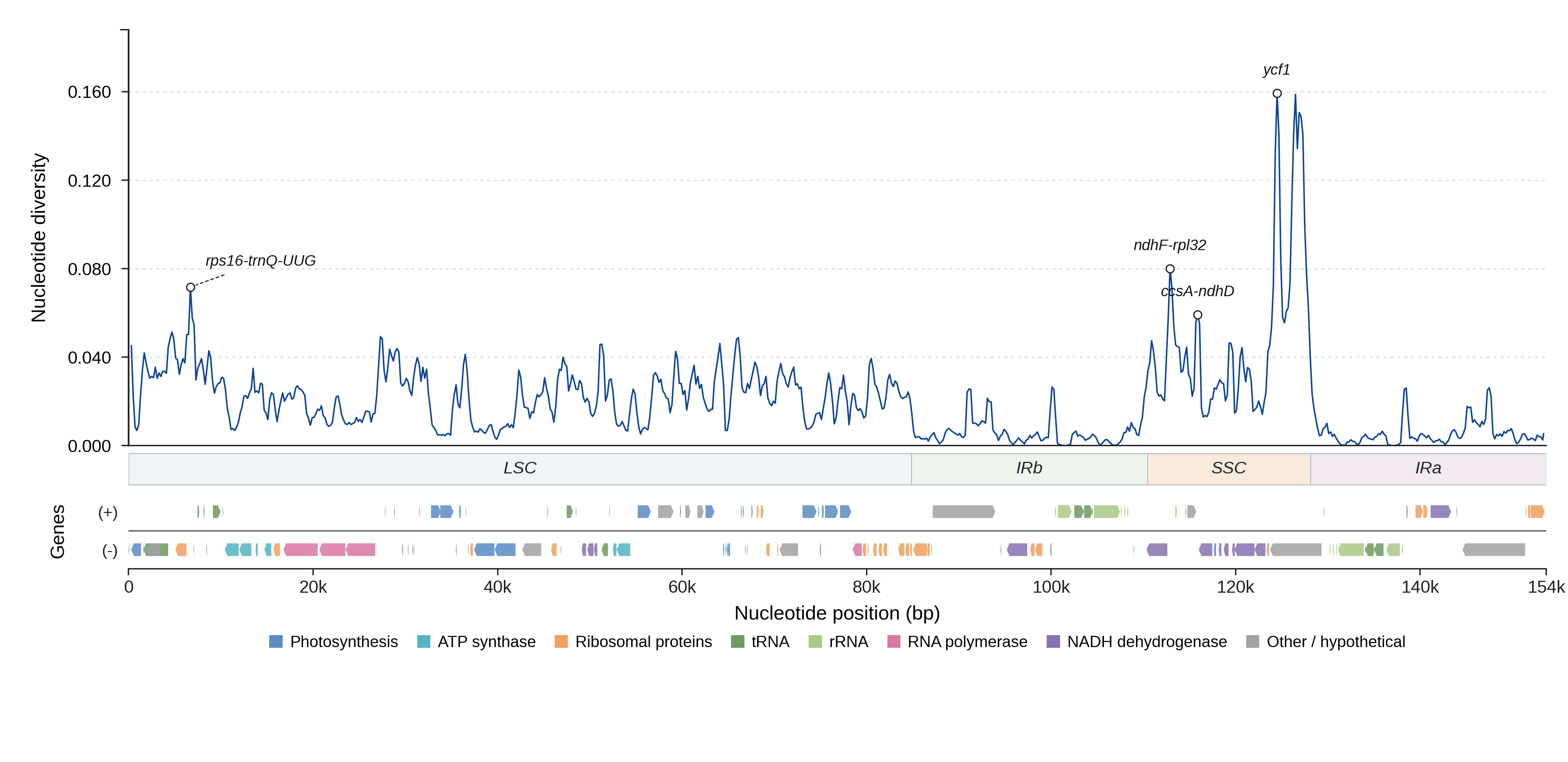 Sliding-window nucleotide diversity