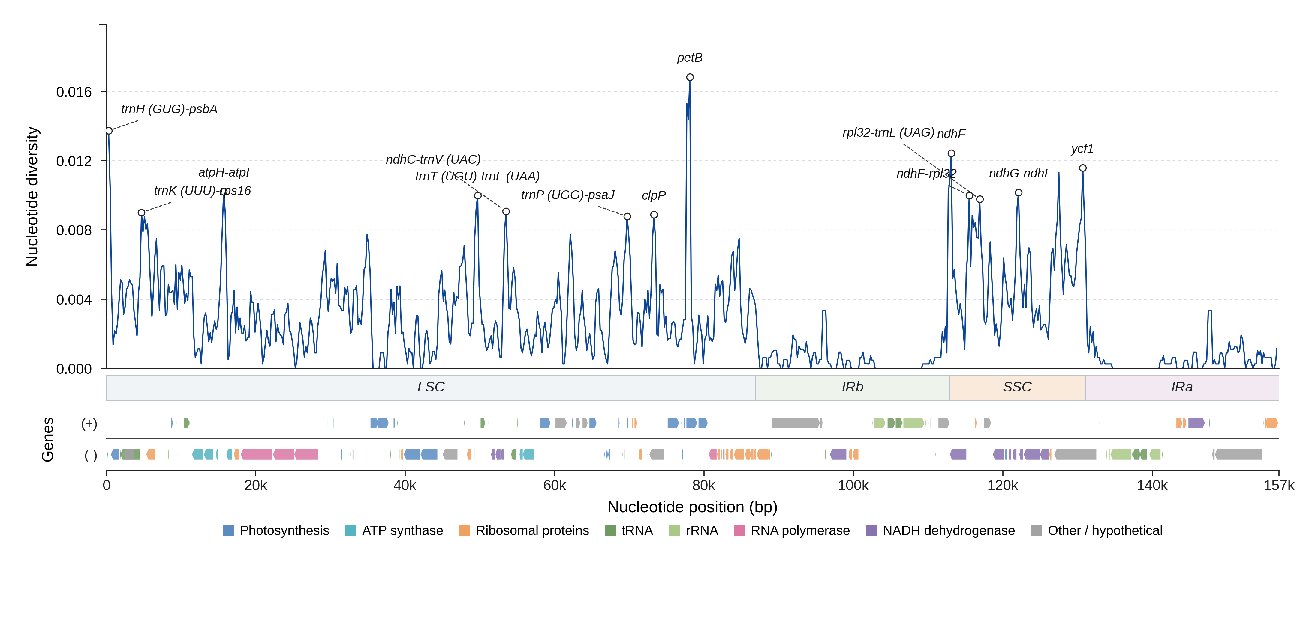 Sliding-window nucleotide diversity