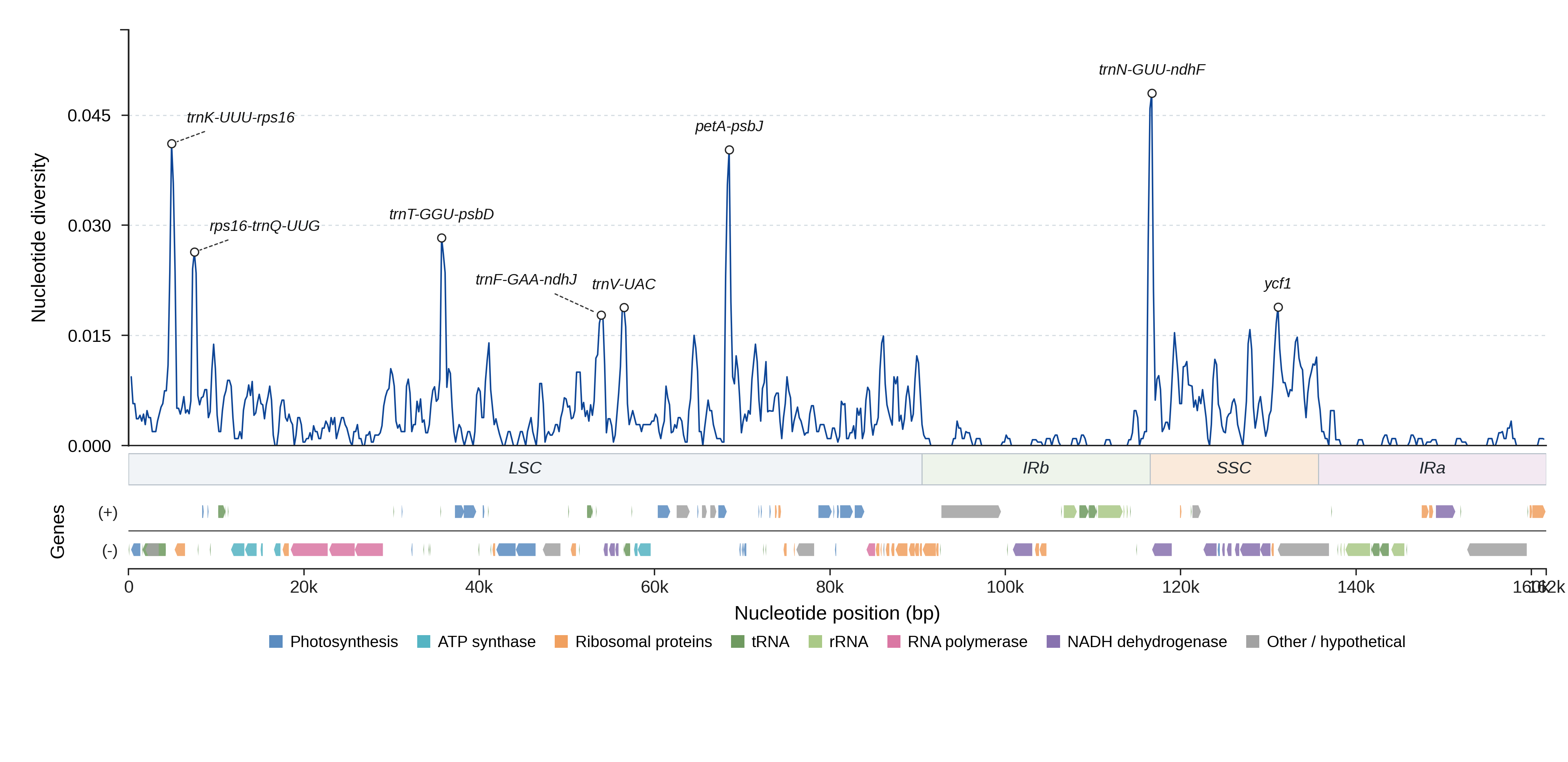 Sliding-window nucleotide diversity