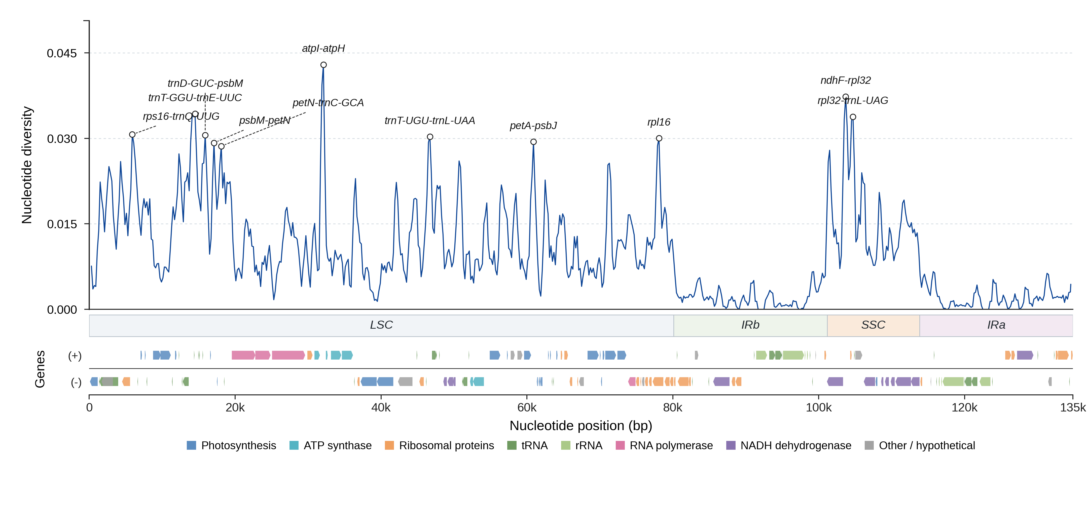 Sliding-window nucleotide diversity