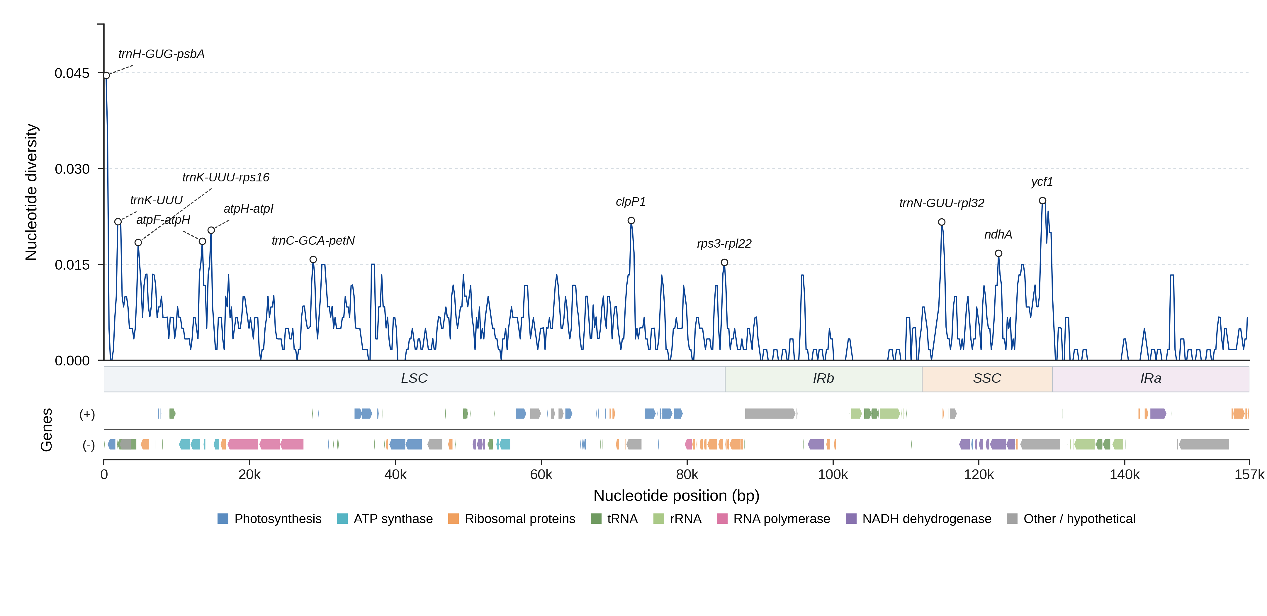 Sliding-window nucleotide diversity