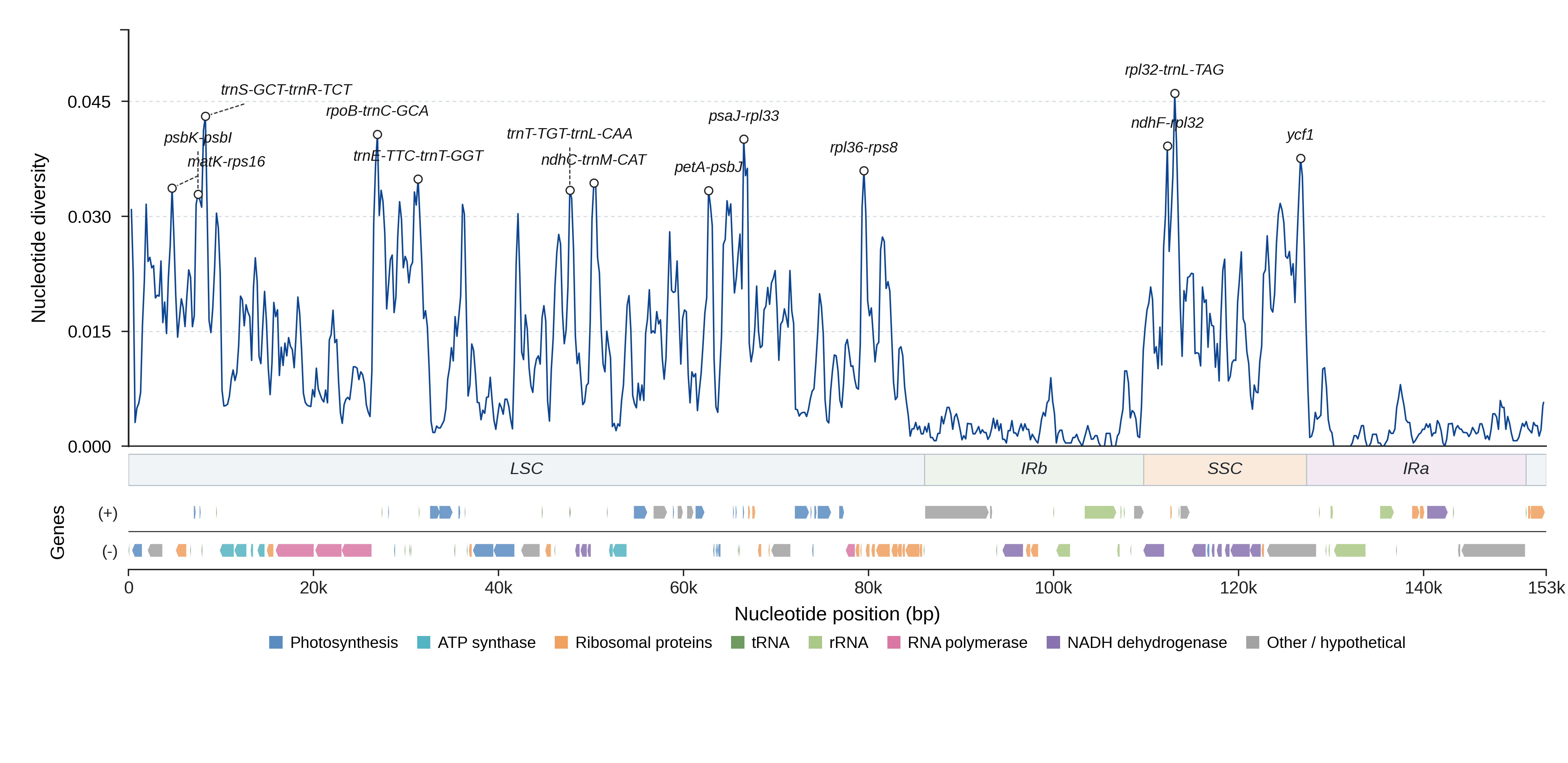 Sliding-window nucleotide diversity