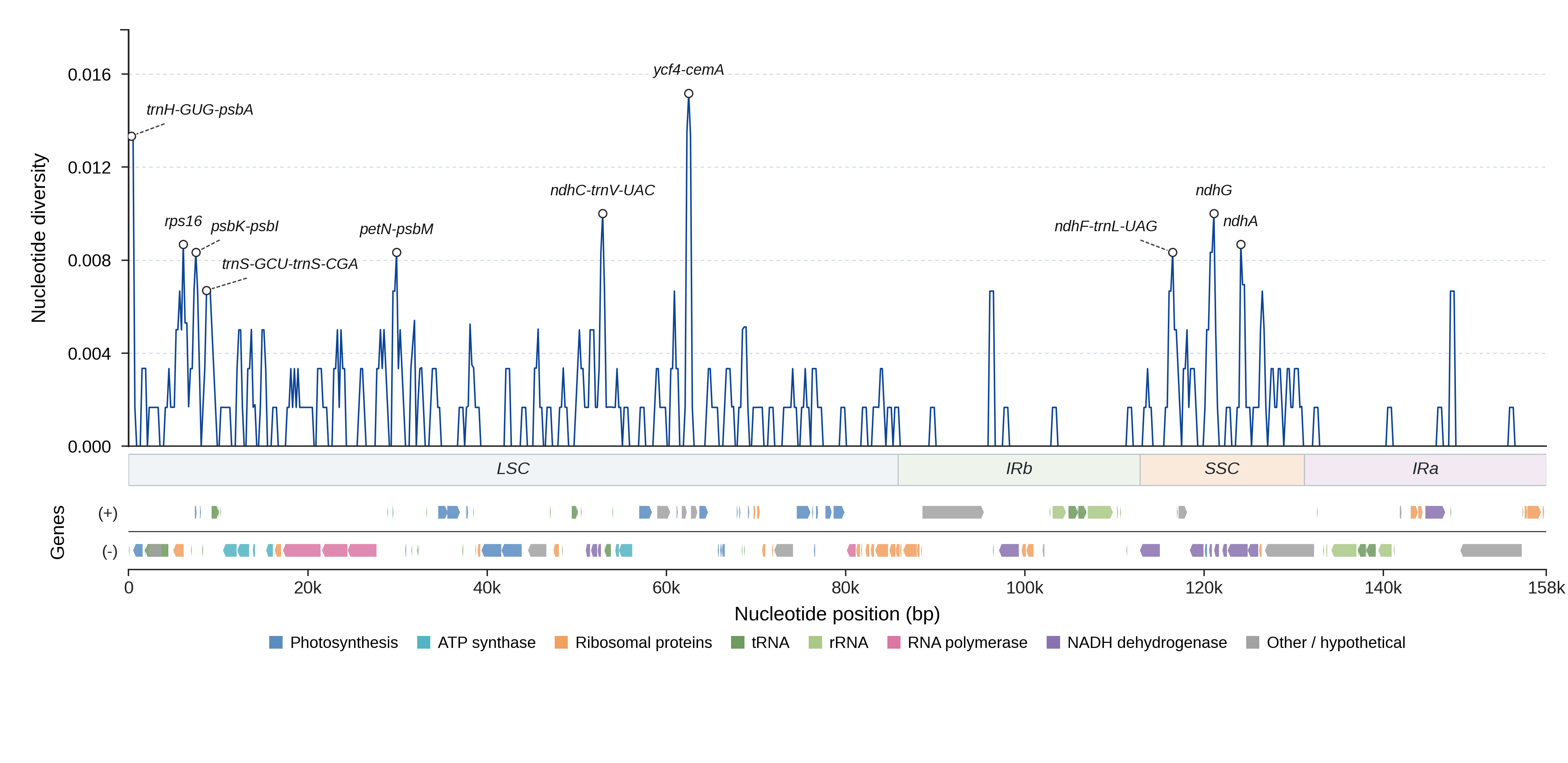 Sliding-window nucleotide diversity