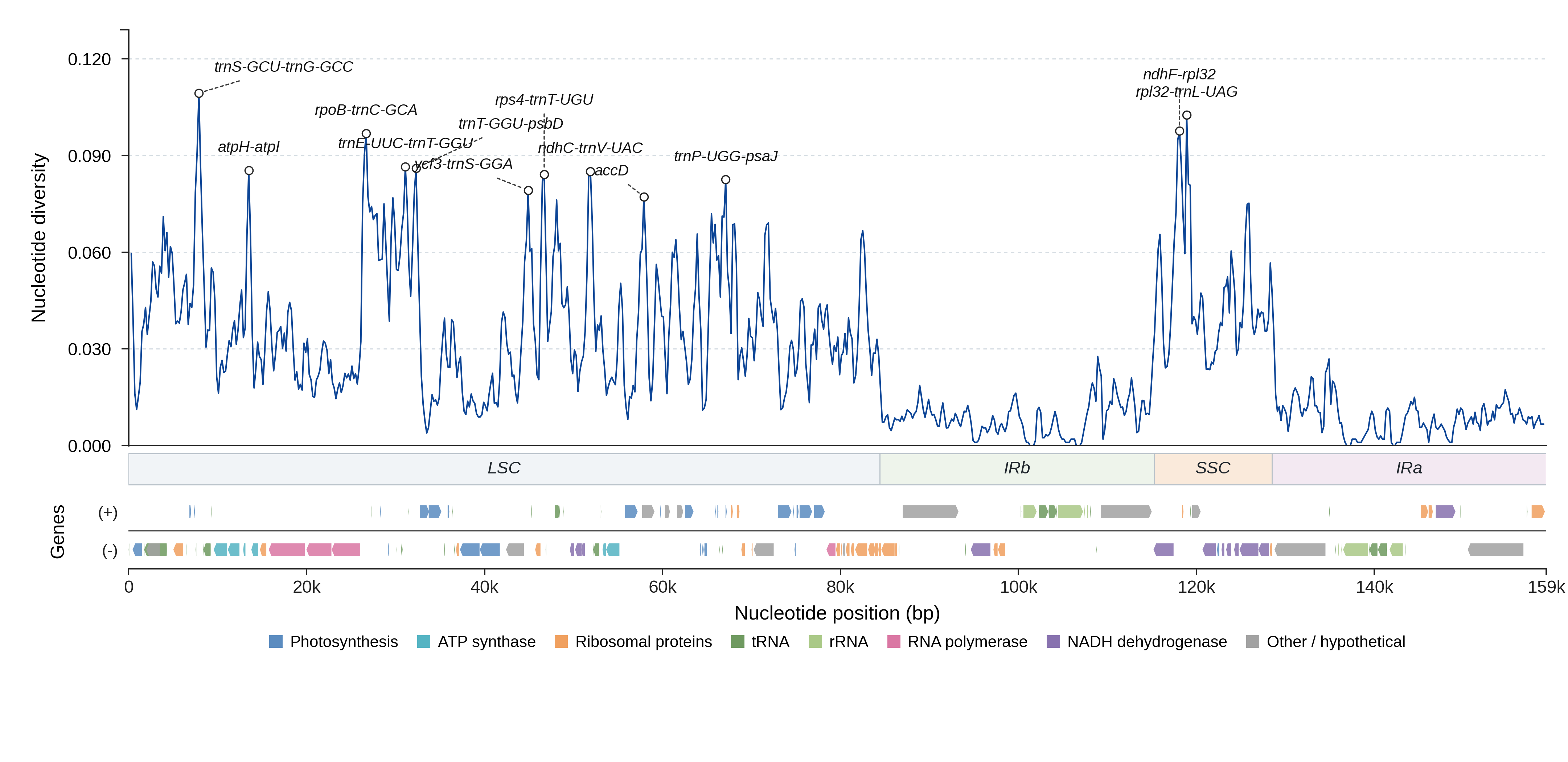 Sliding-window nucleotide diversity