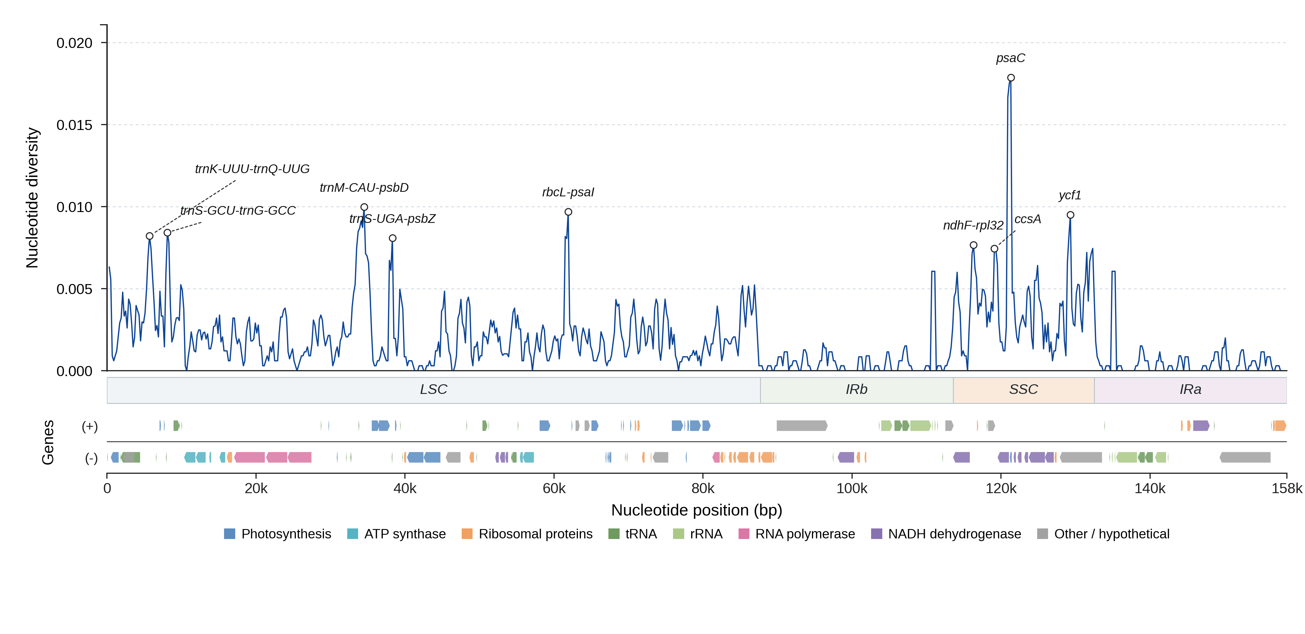 Sliding-window nucleotide diversity