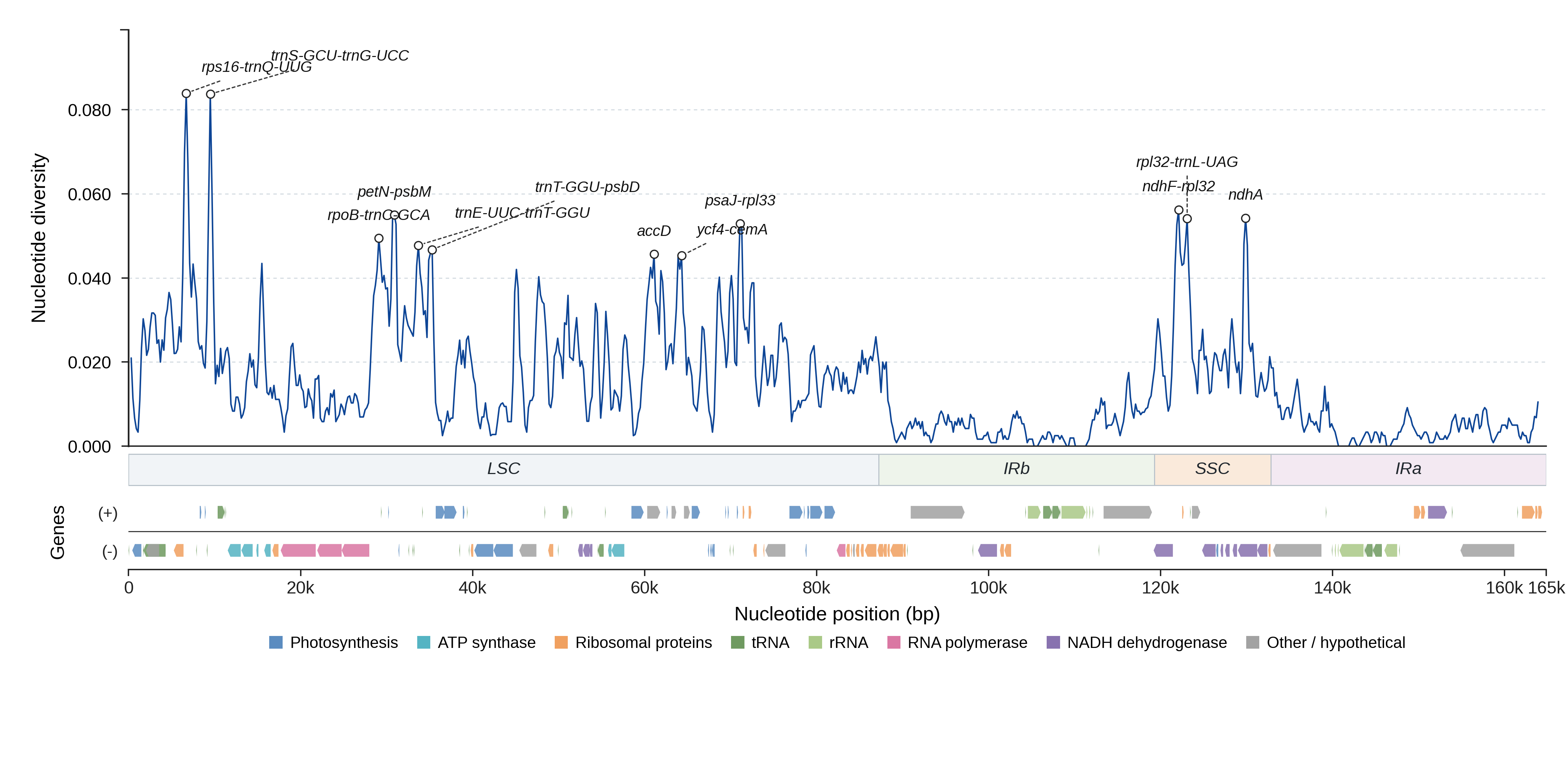 Sliding-window nucleotide diversity