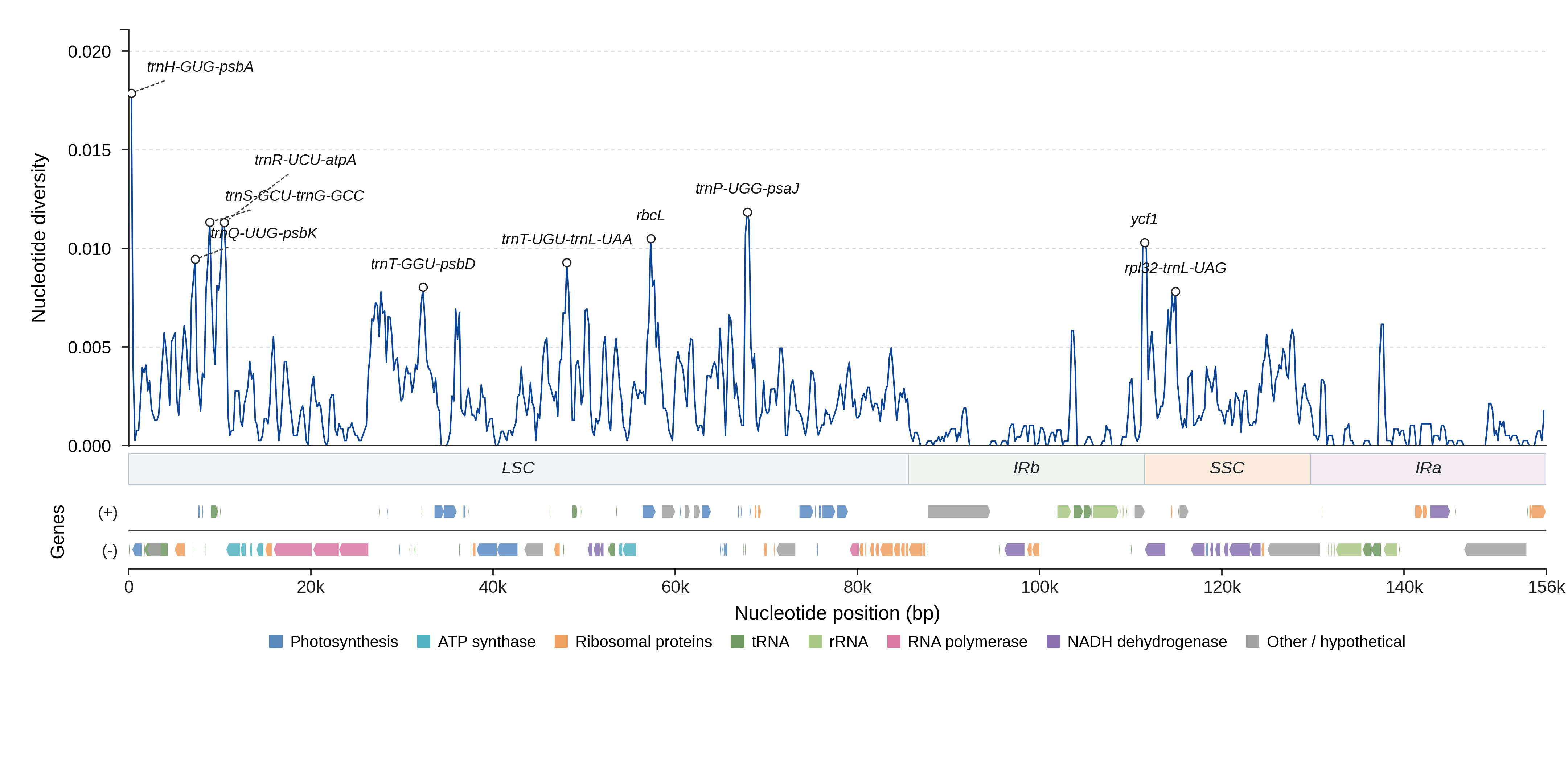 Sliding-window nucleotide diversity