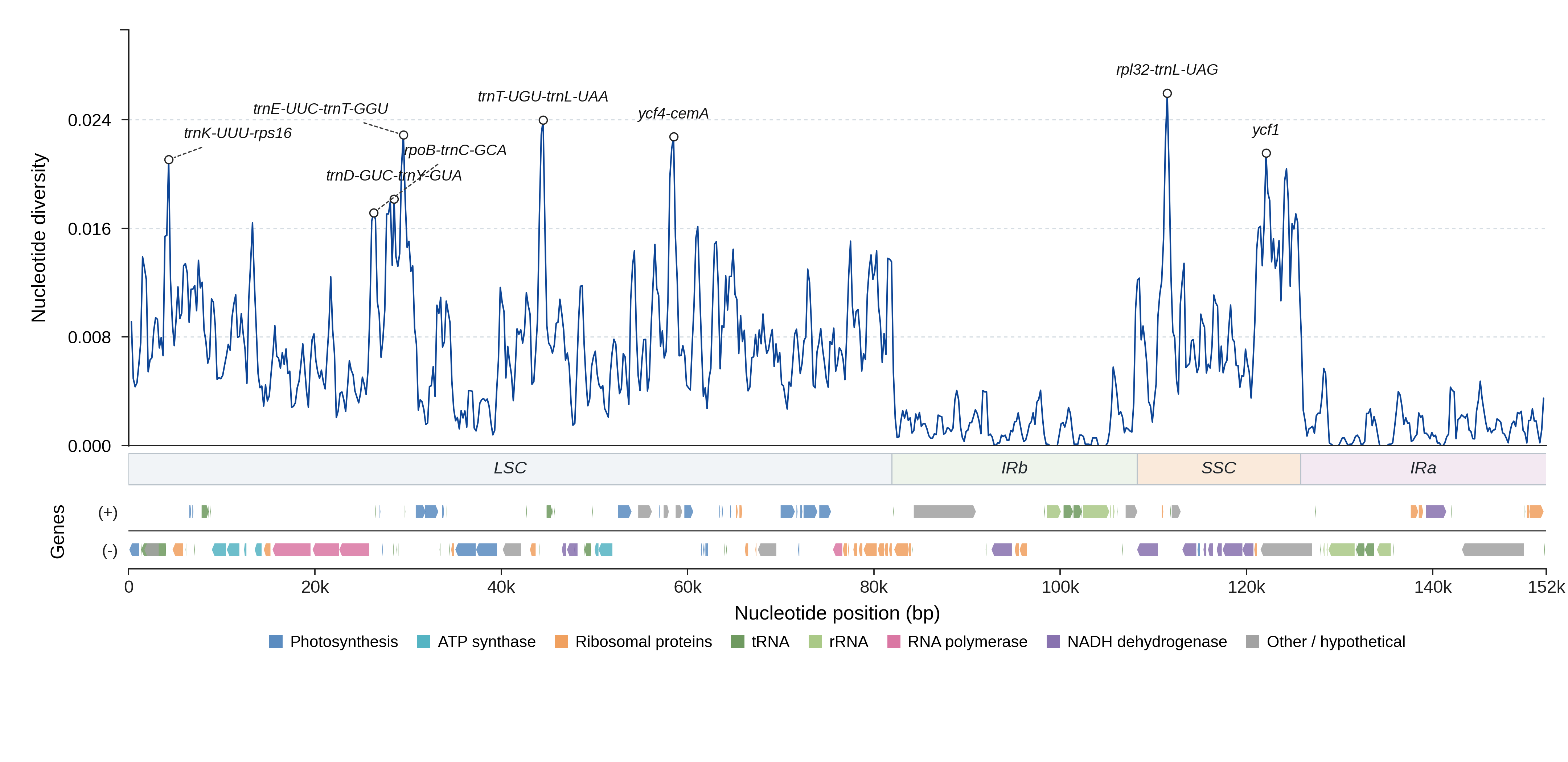 Sliding-window nucleotide diversity