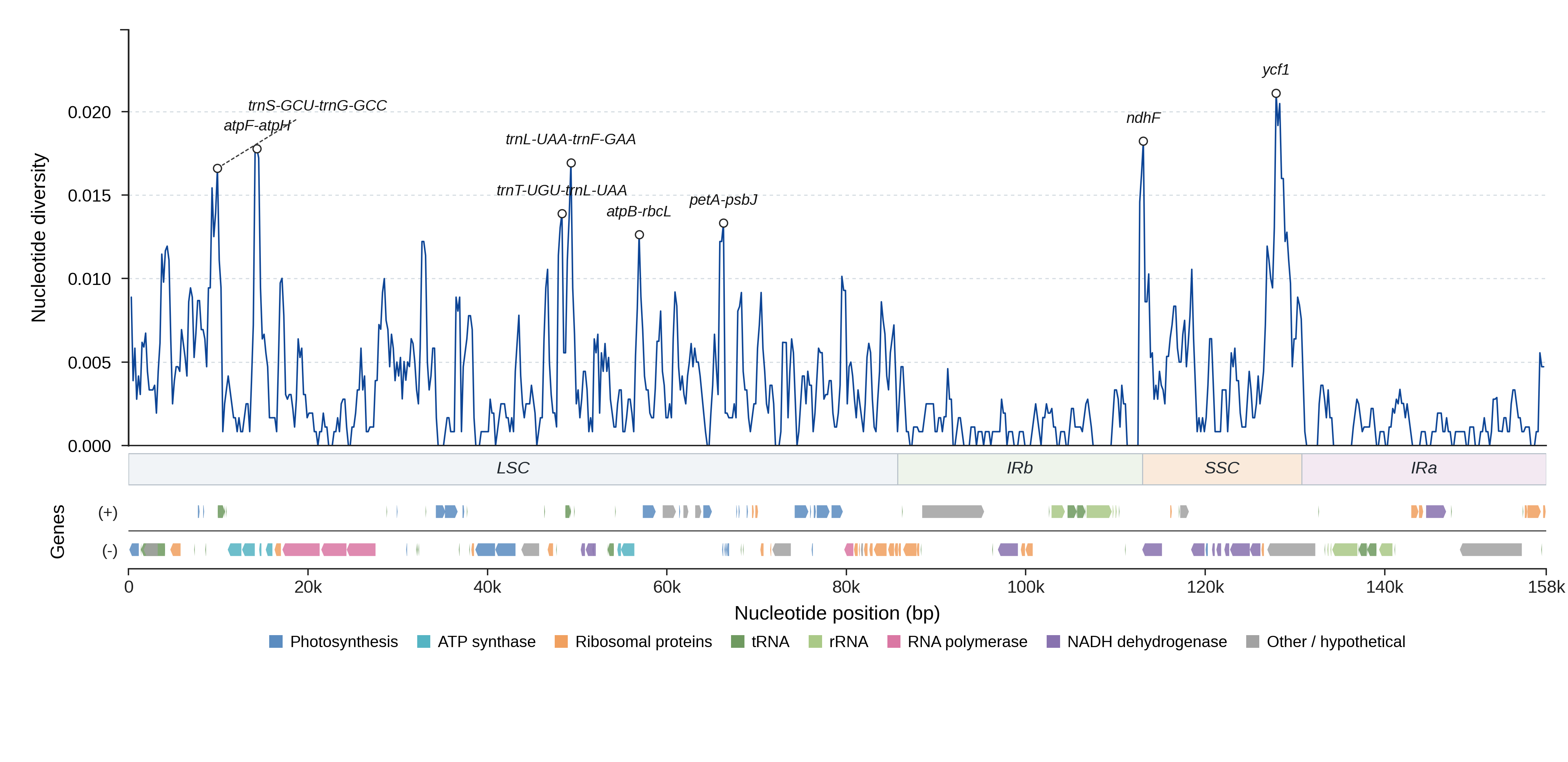 Sliding-window nucleotide diversity