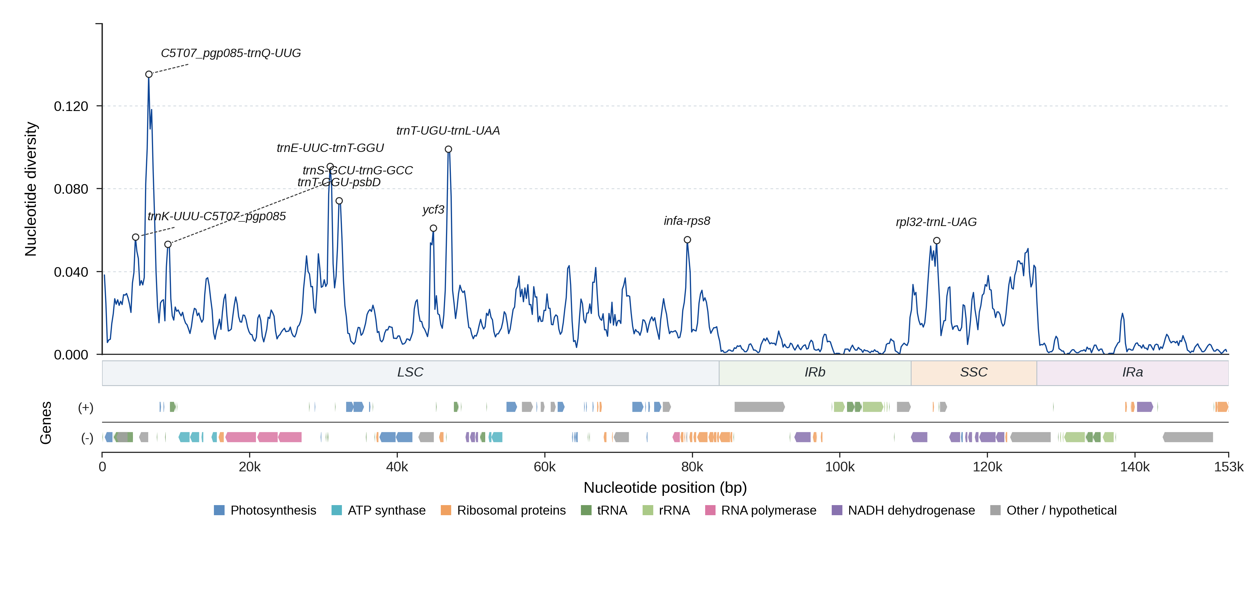 Sliding-window nucleotide diversity