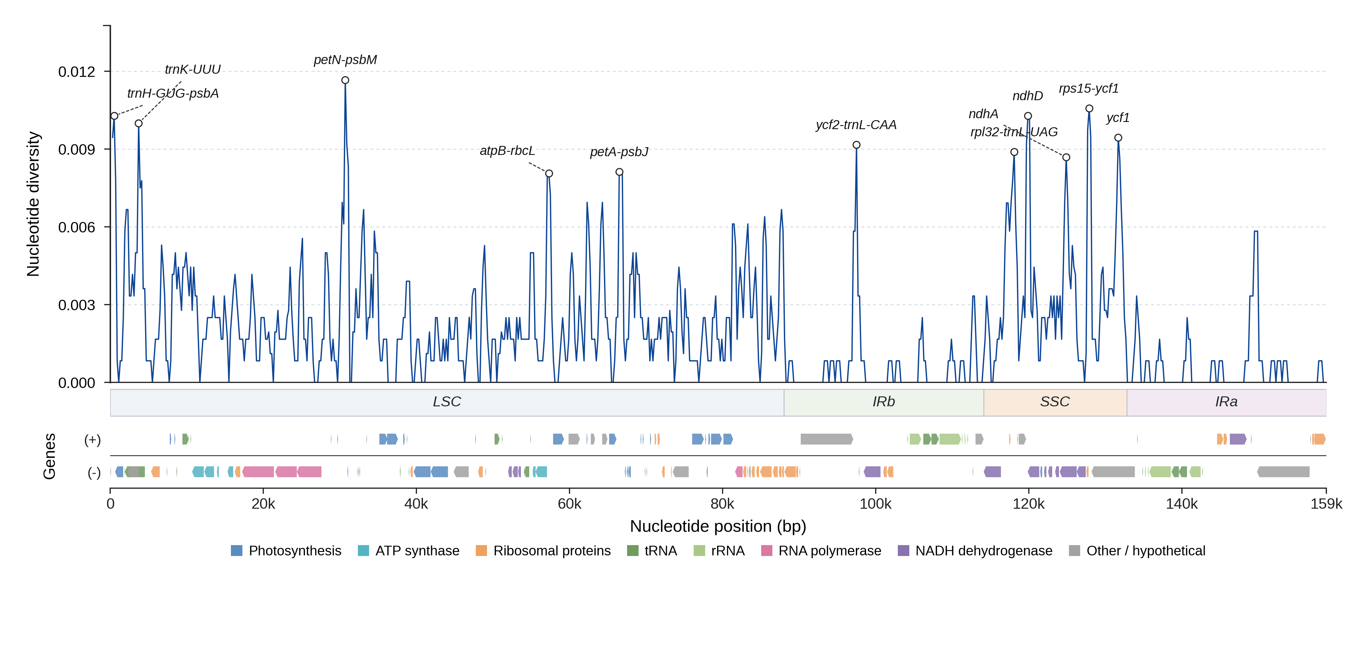 Sliding-window nucleotide diversity