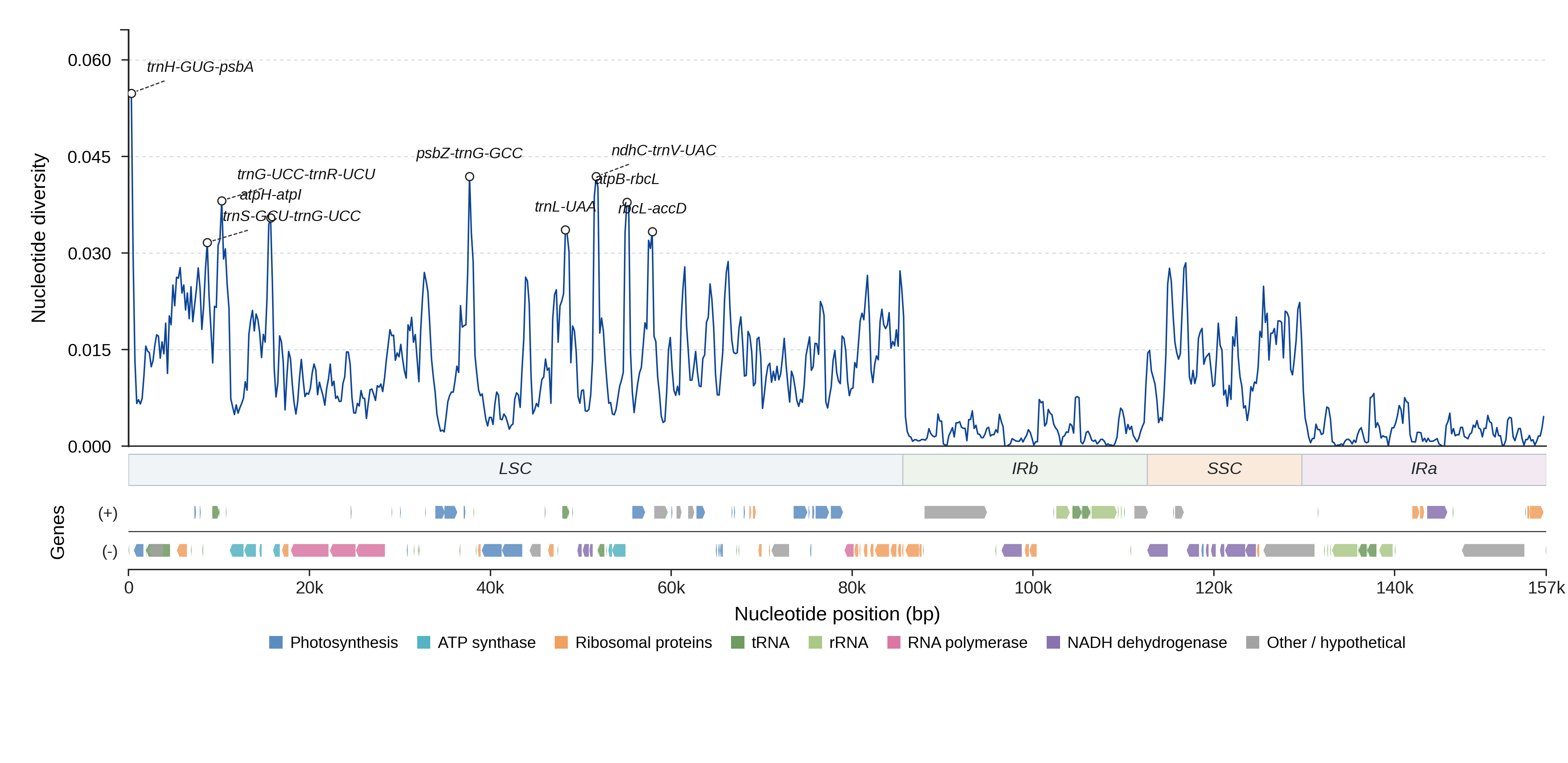 Sliding-window nucleotide diversity