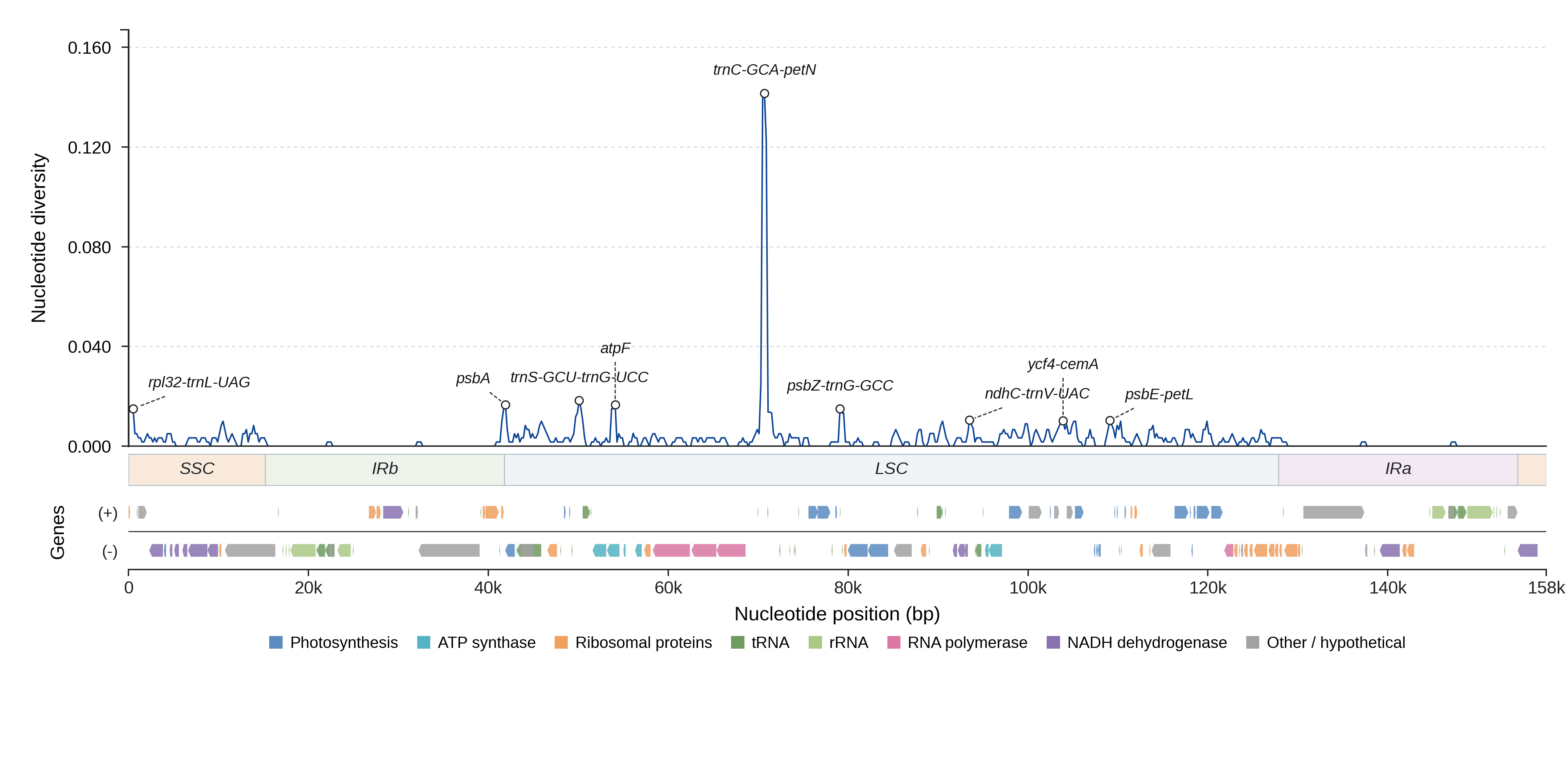 Sliding-window nucleotide diversity
