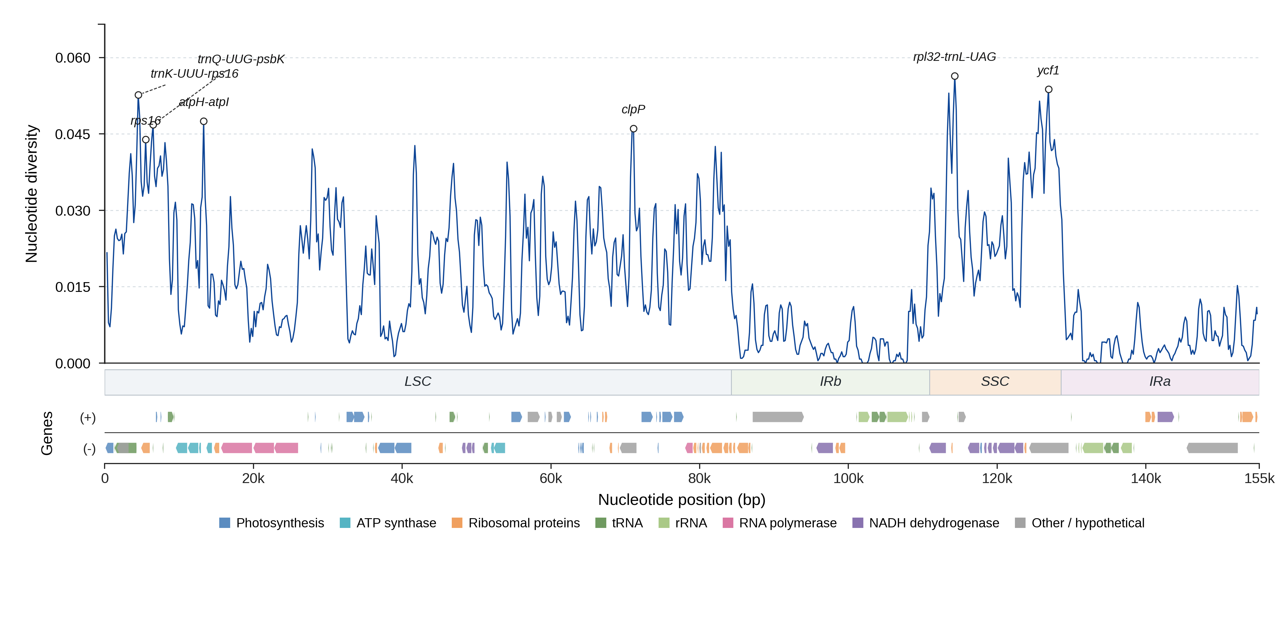 Sliding-window nucleotide diversity