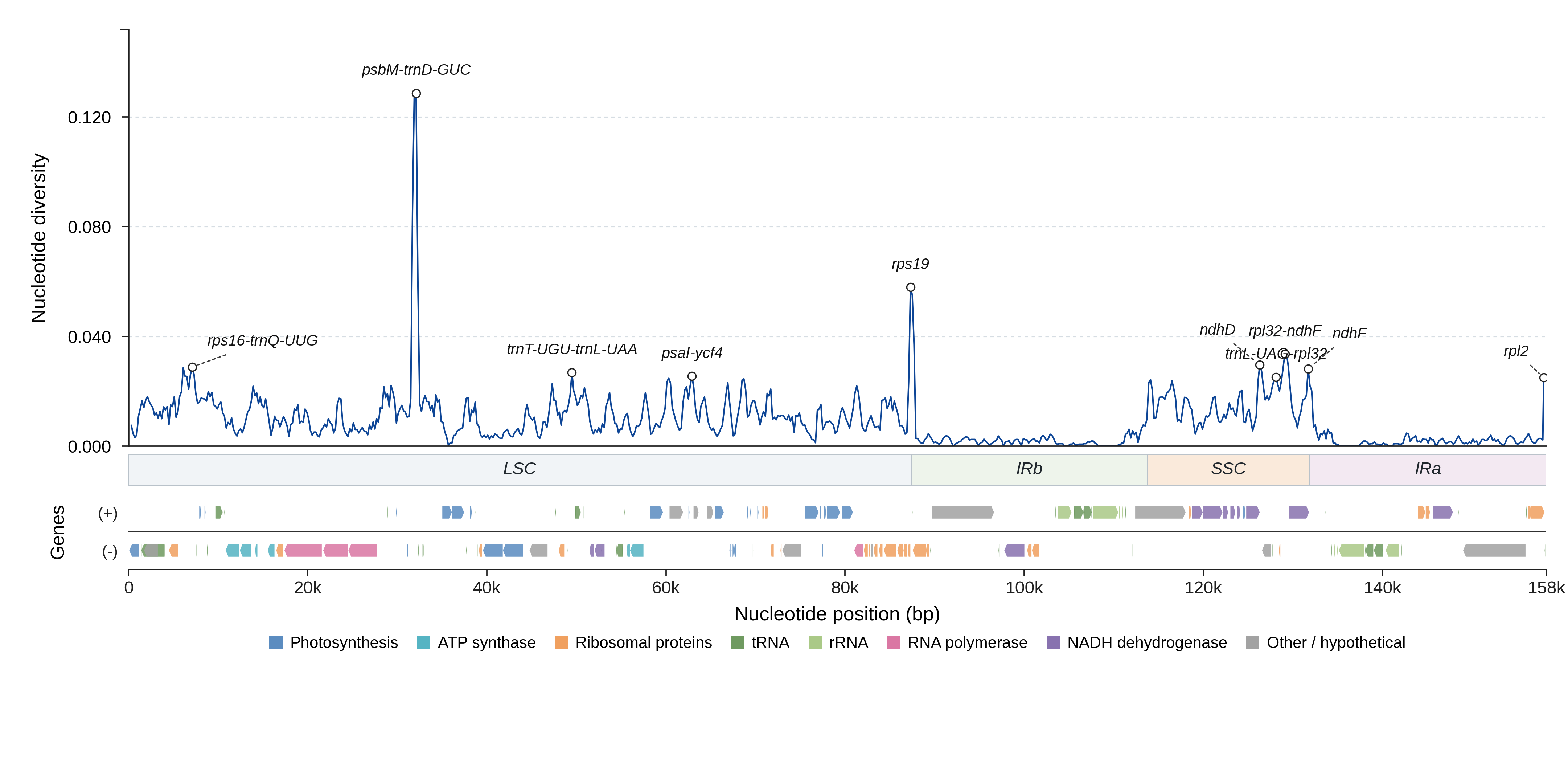 Sliding-window nucleotide diversity