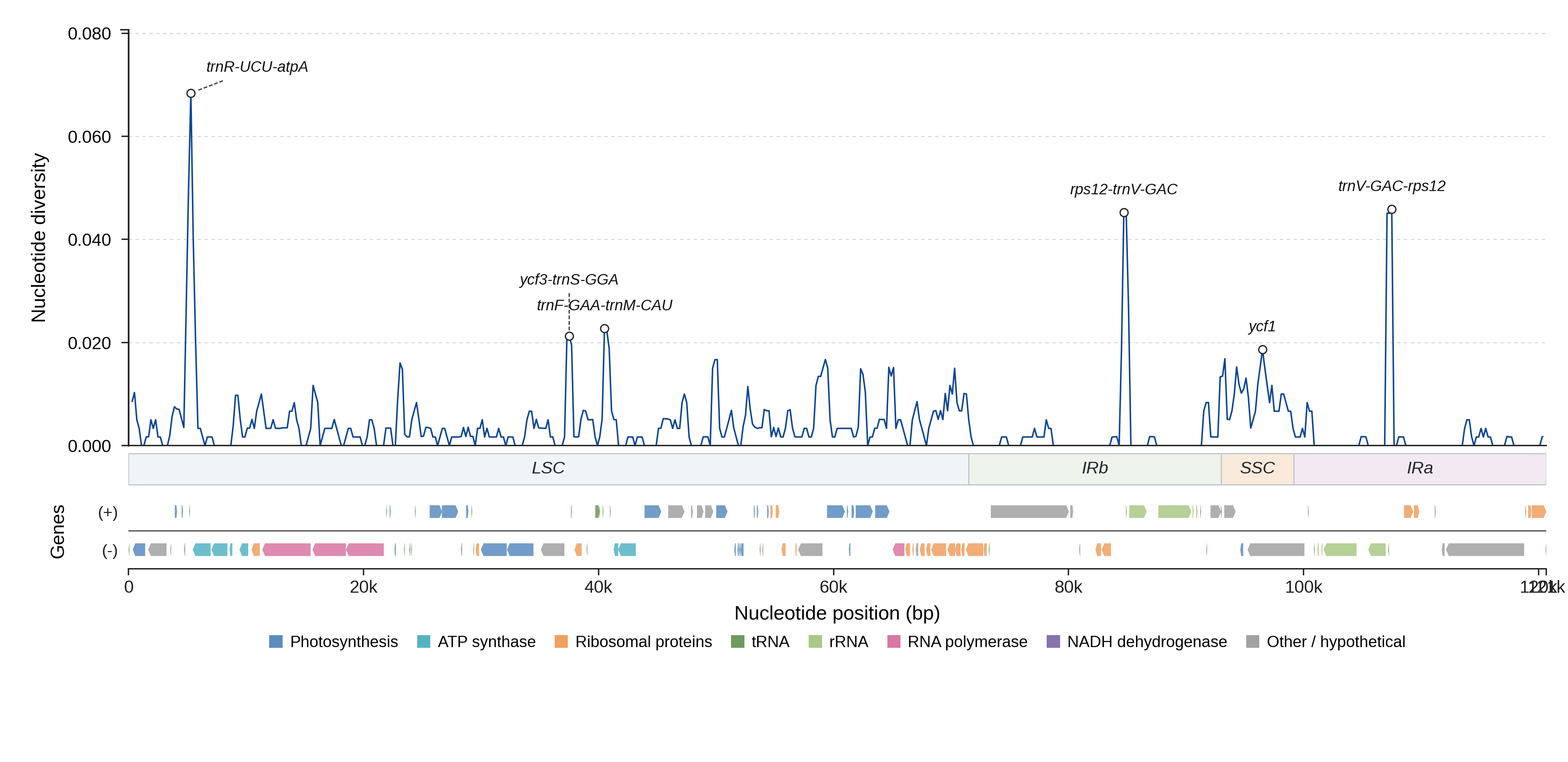 Sliding-window nucleotide diversity