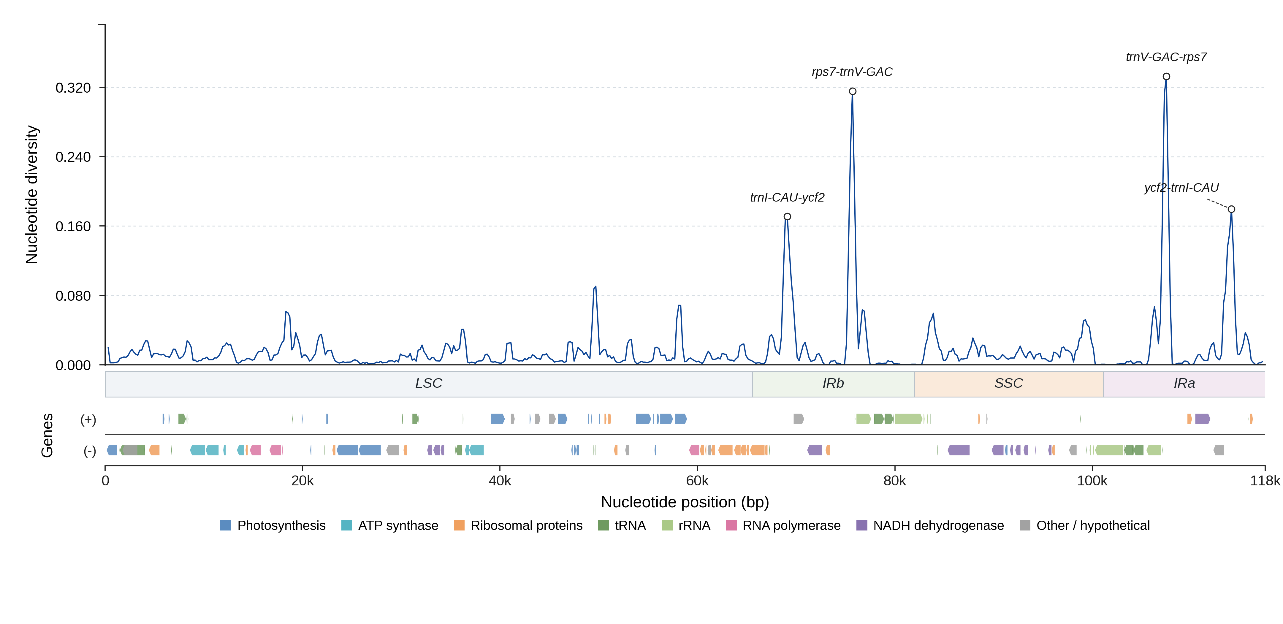 Sliding-window nucleotide diversity