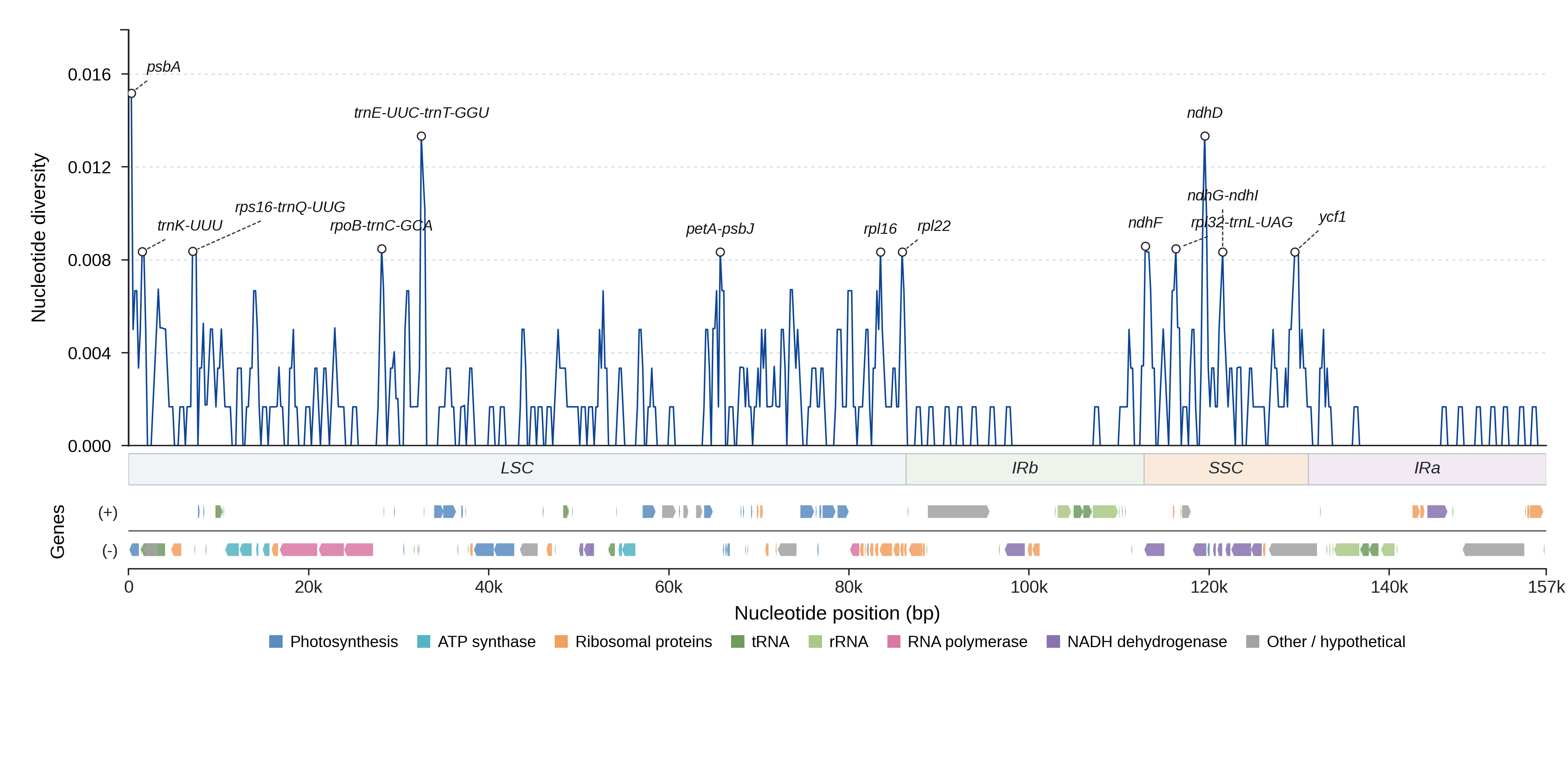 Sliding-window nucleotide diversity