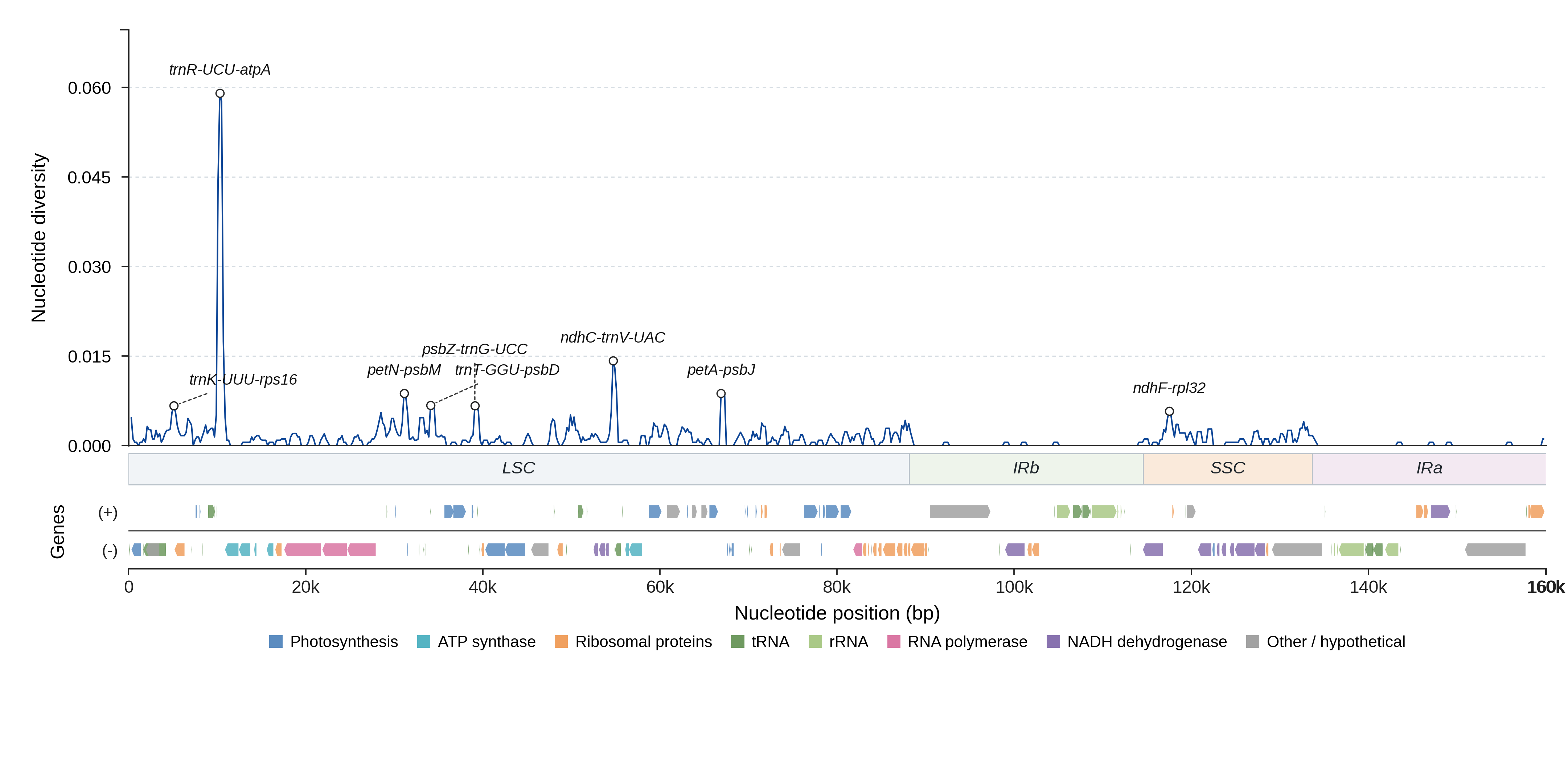 Sliding-window nucleotide diversity