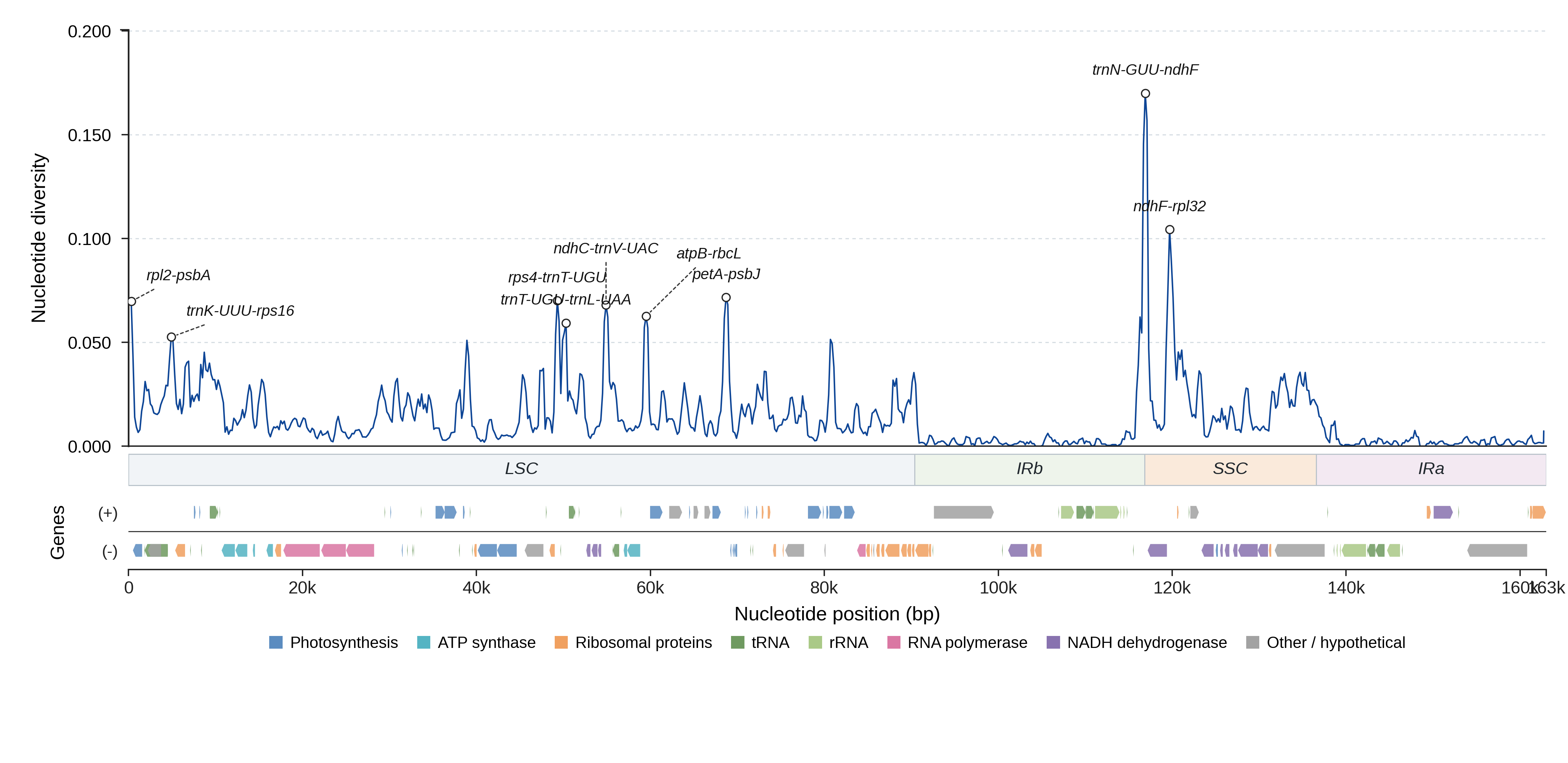 Sliding-window nucleotide diversity