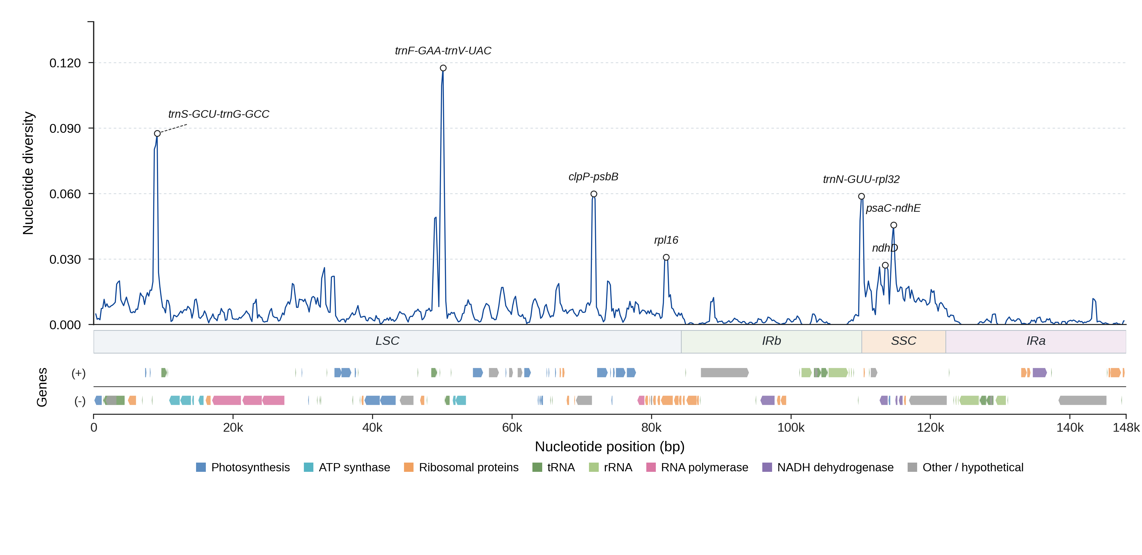 Sliding-window nucleotide diversity