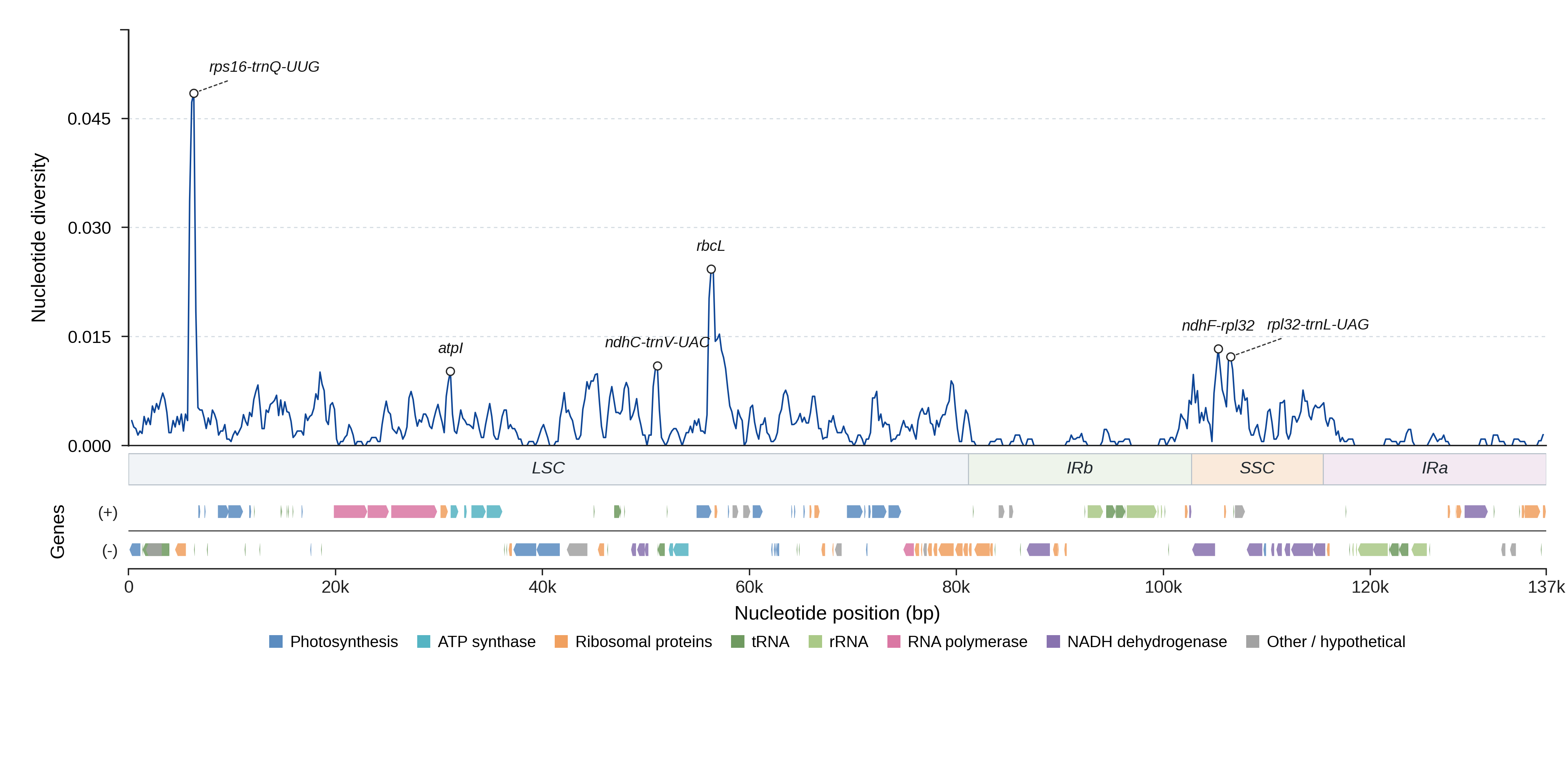 Sliding-window nucleotide diversity