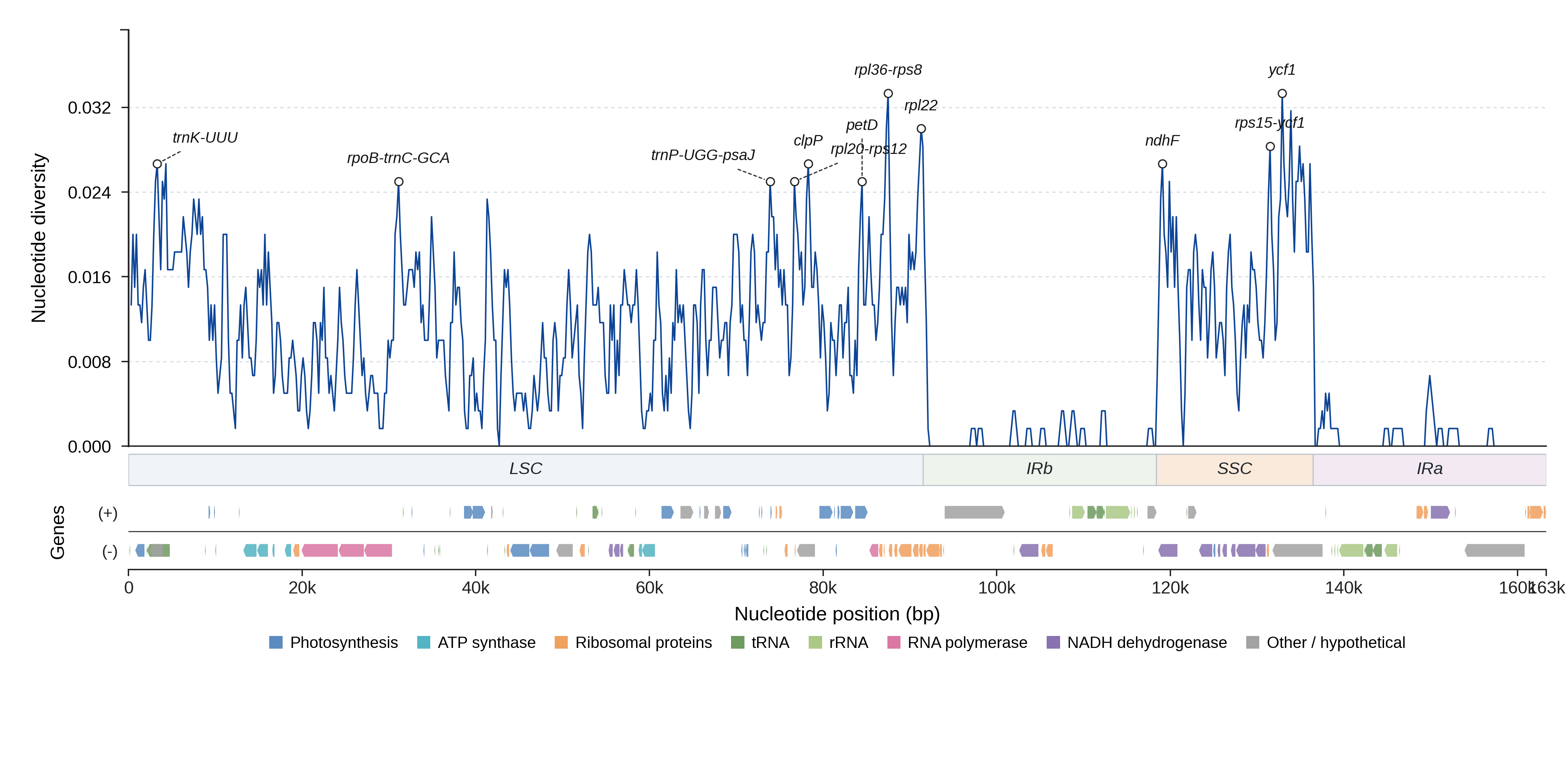 Sliding-window nucleotide diversity